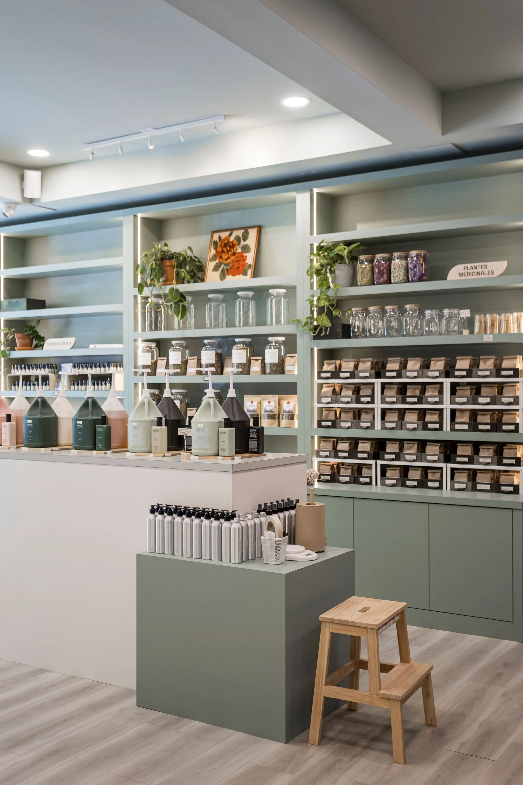 250704_IndeeDesign_Herboristerie-47.jpg