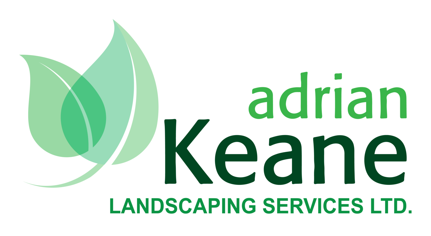 Tree Surgery Cork - Adrian Keane Landscaping