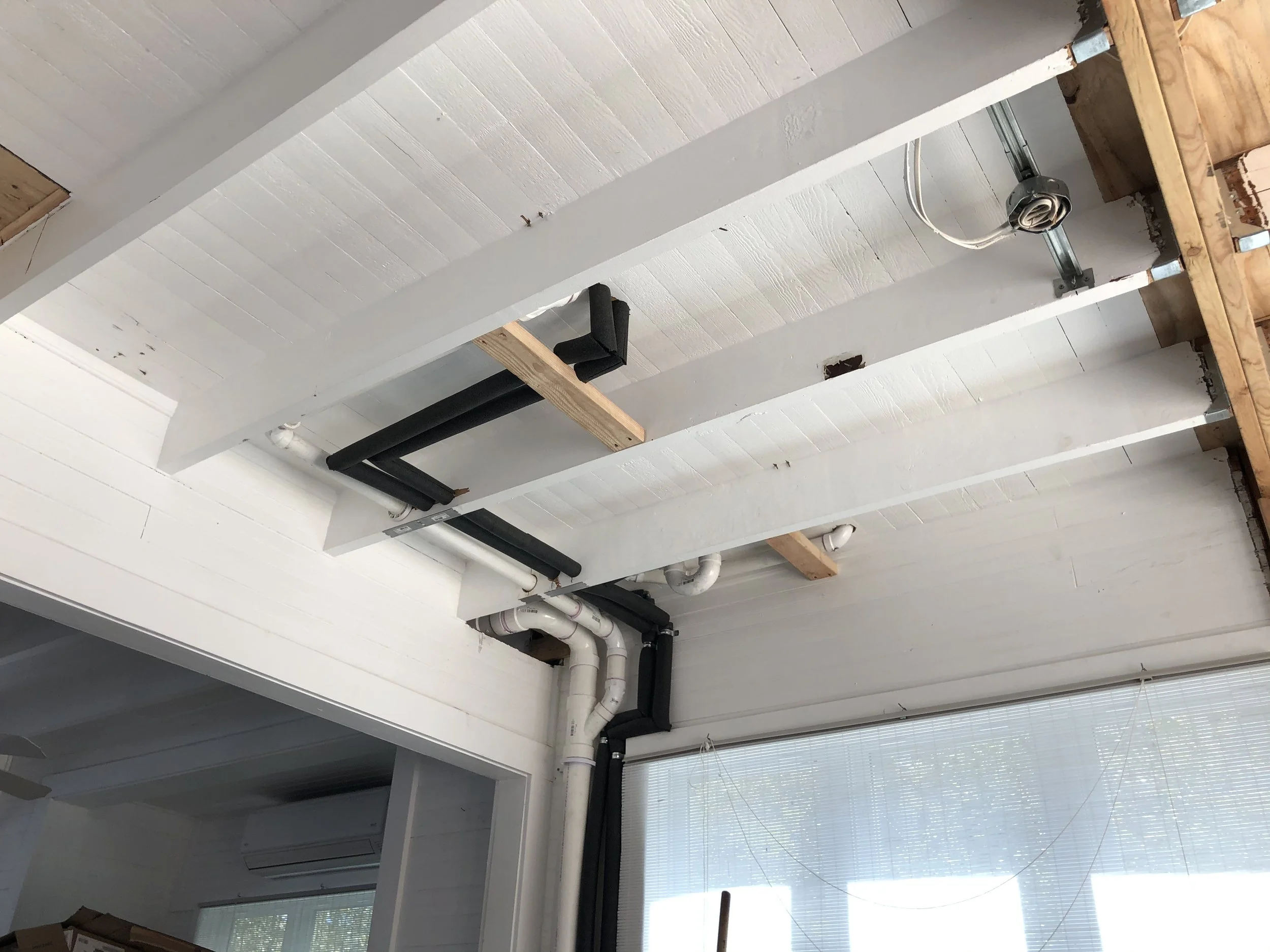 2020_Ceiling_IMG_7088.jpeg