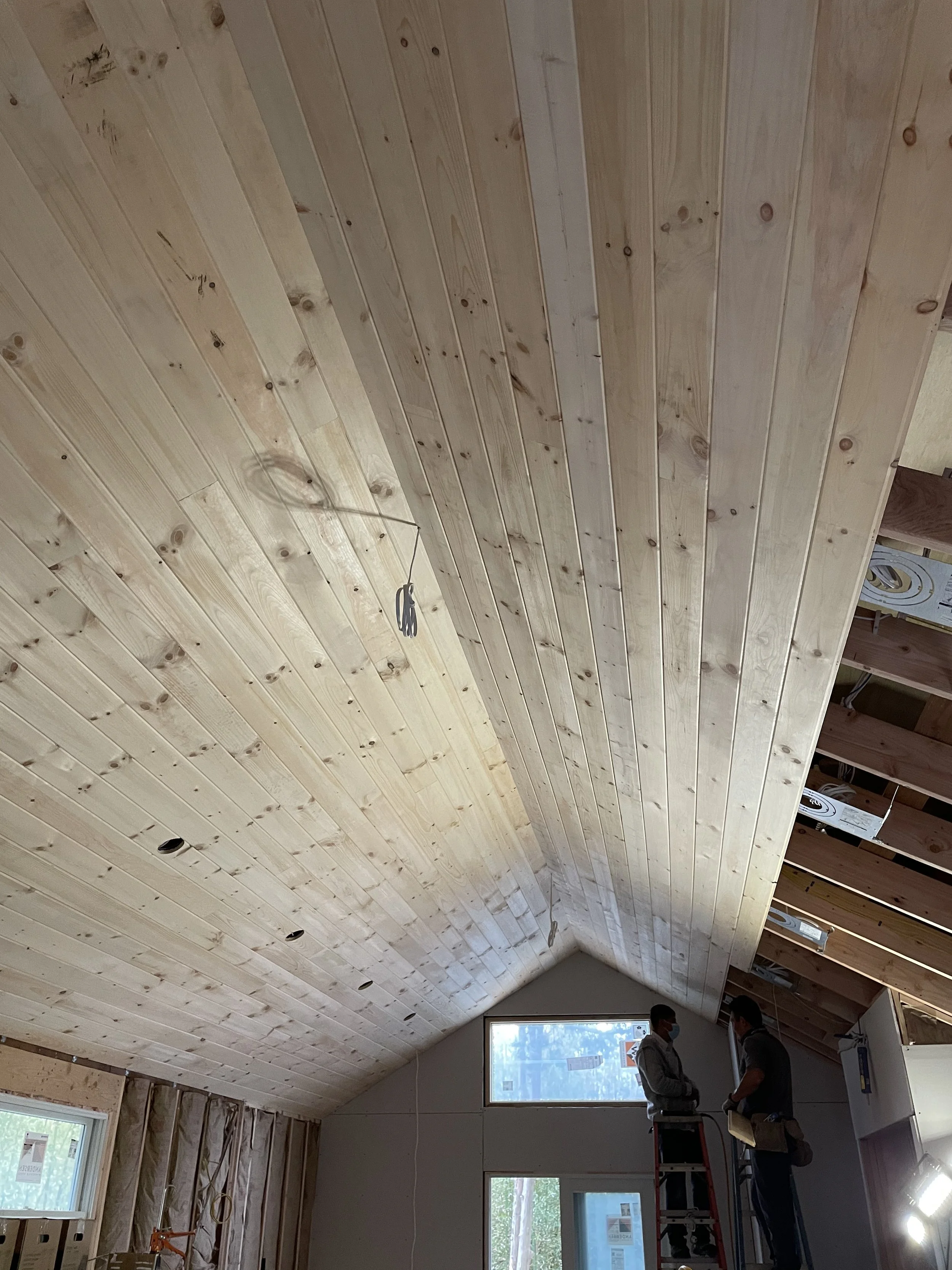 2021_Ceiling_IMG_1169.jpeg