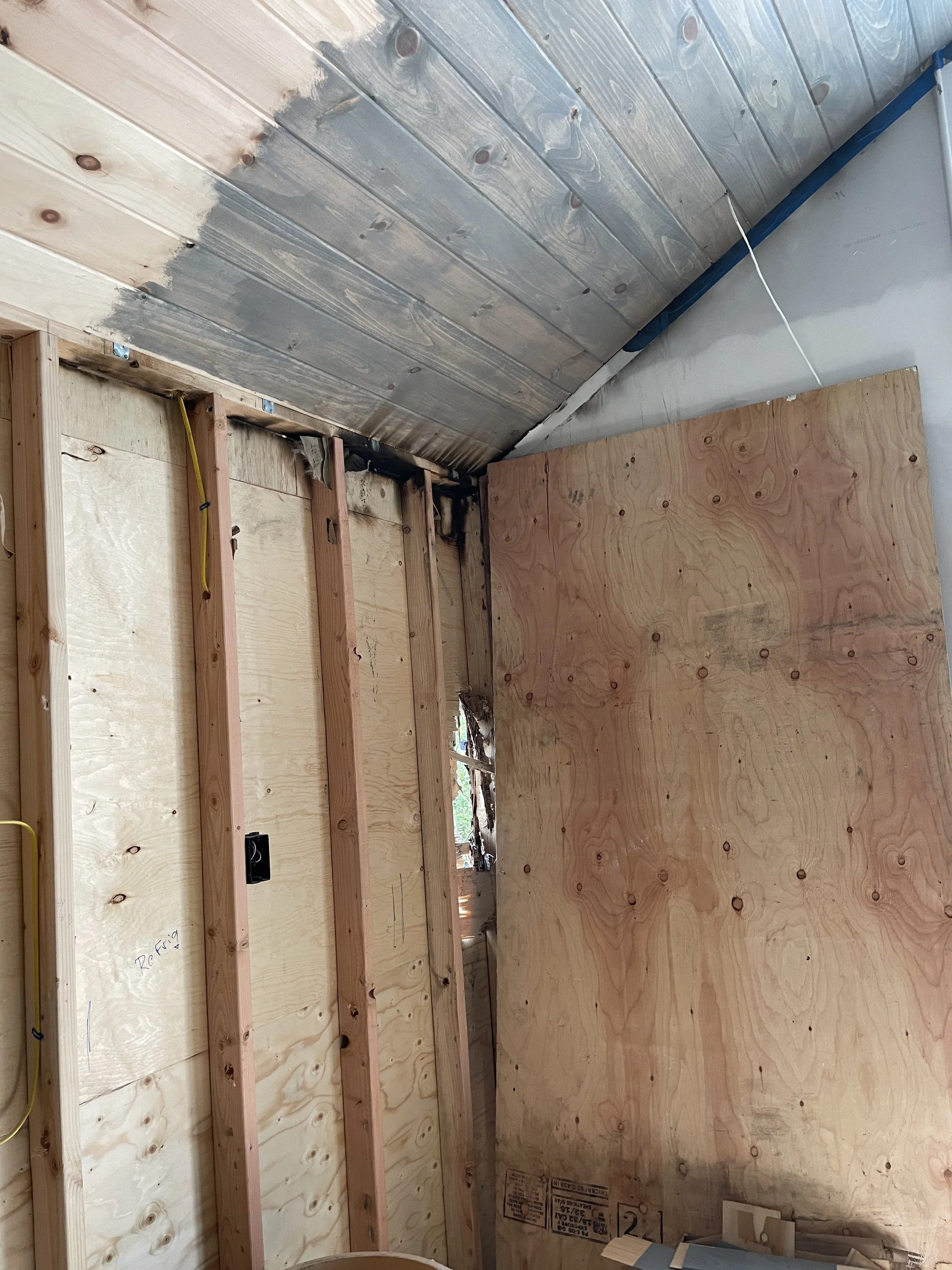 2021_Ceiling_IMG_1563.jpeg