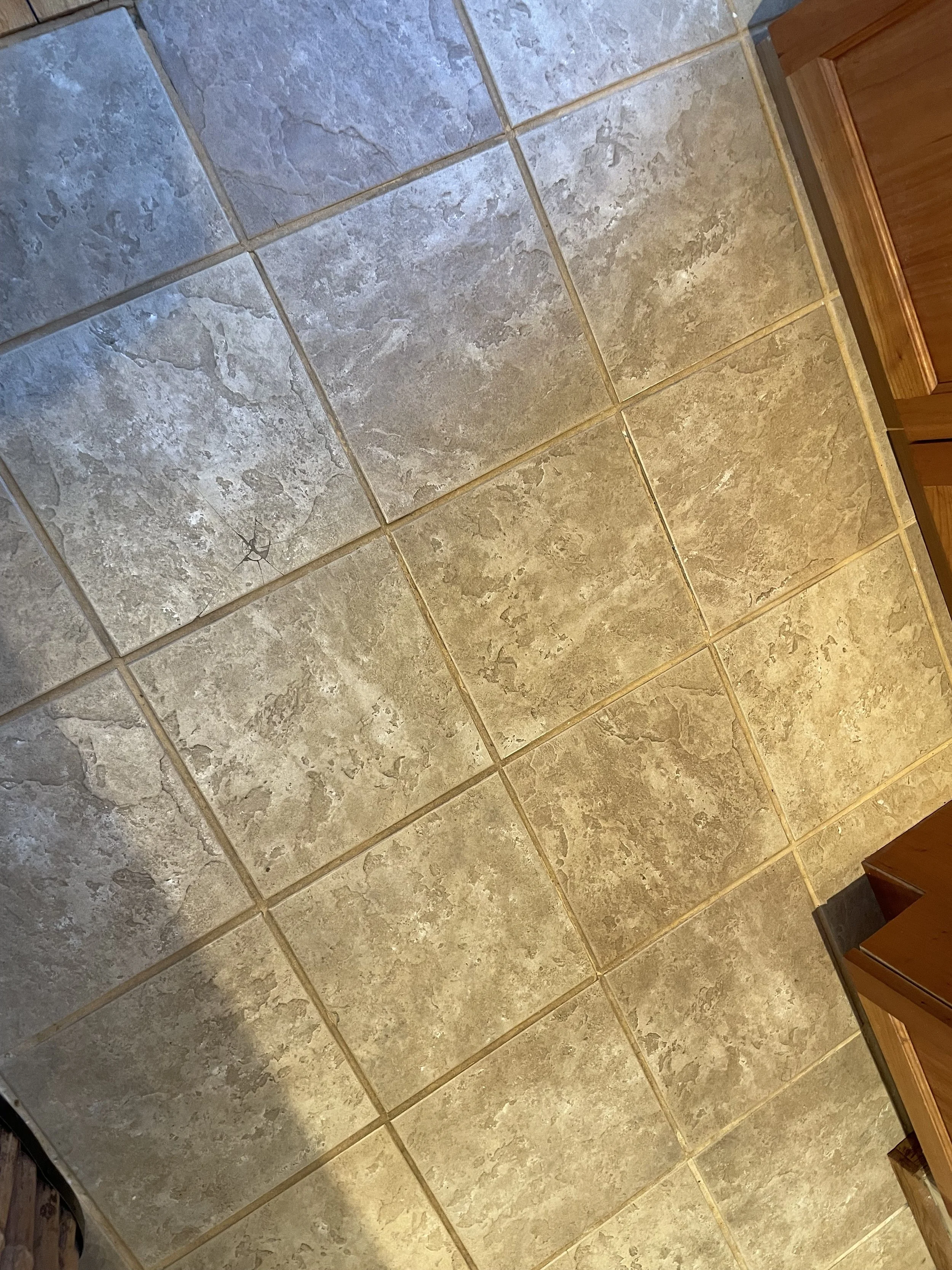 2021_Tile_IMG_0923.jpeg