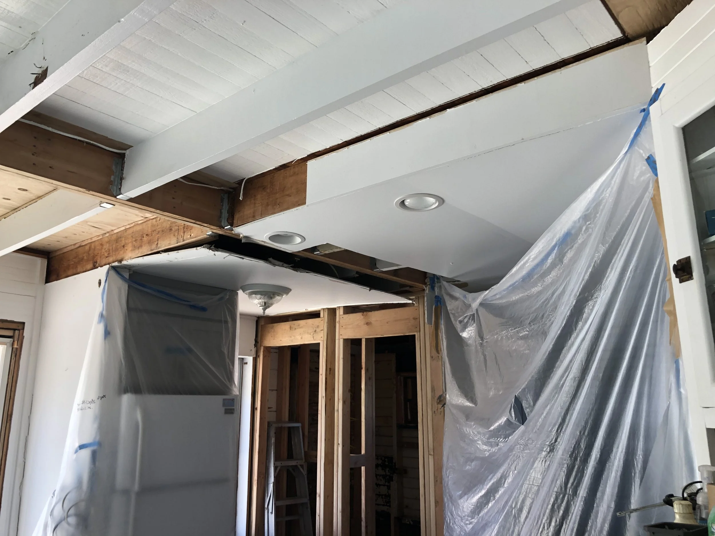 2020_Ceiling_IMG_7093.jpeg