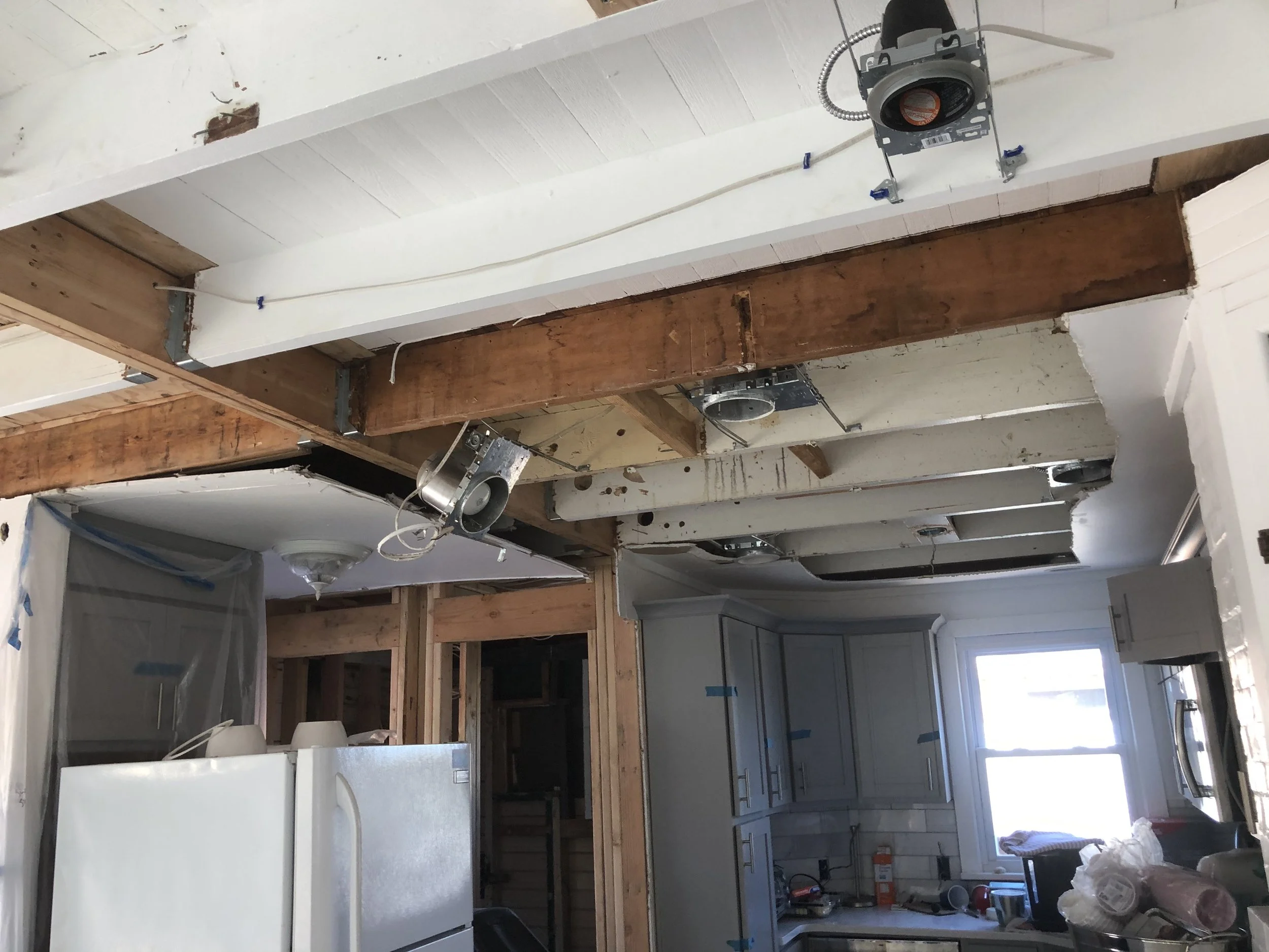 2020_Ceiling_IMG_7158.jpeg