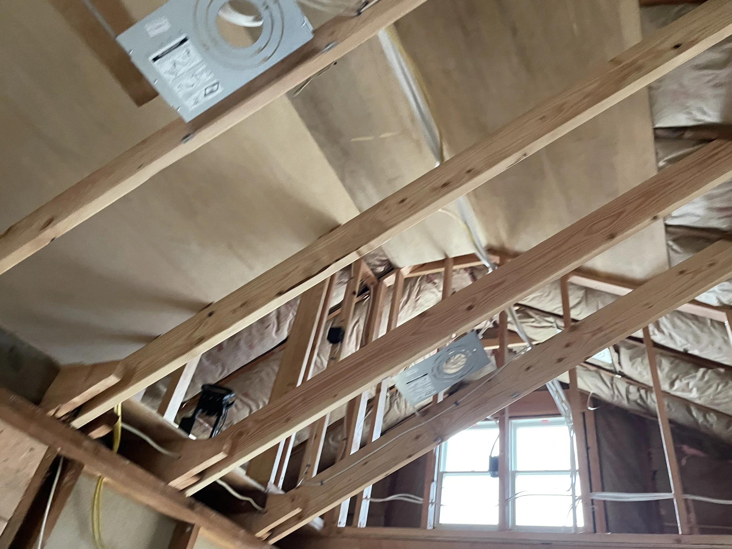 2021_Ceiling_IMG_1037.jpeg