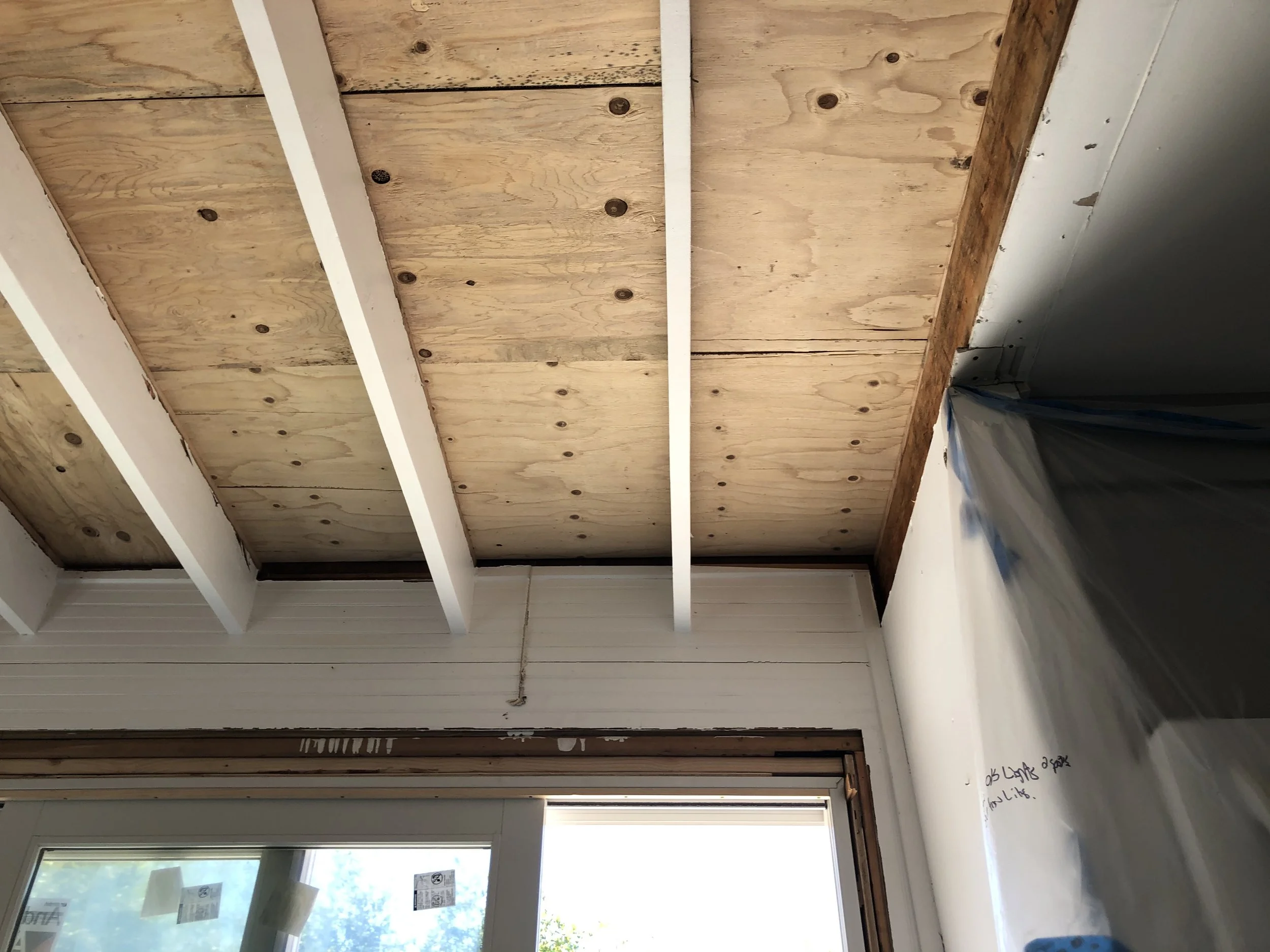 2020_Ceiling_IMG_7100.jpeg