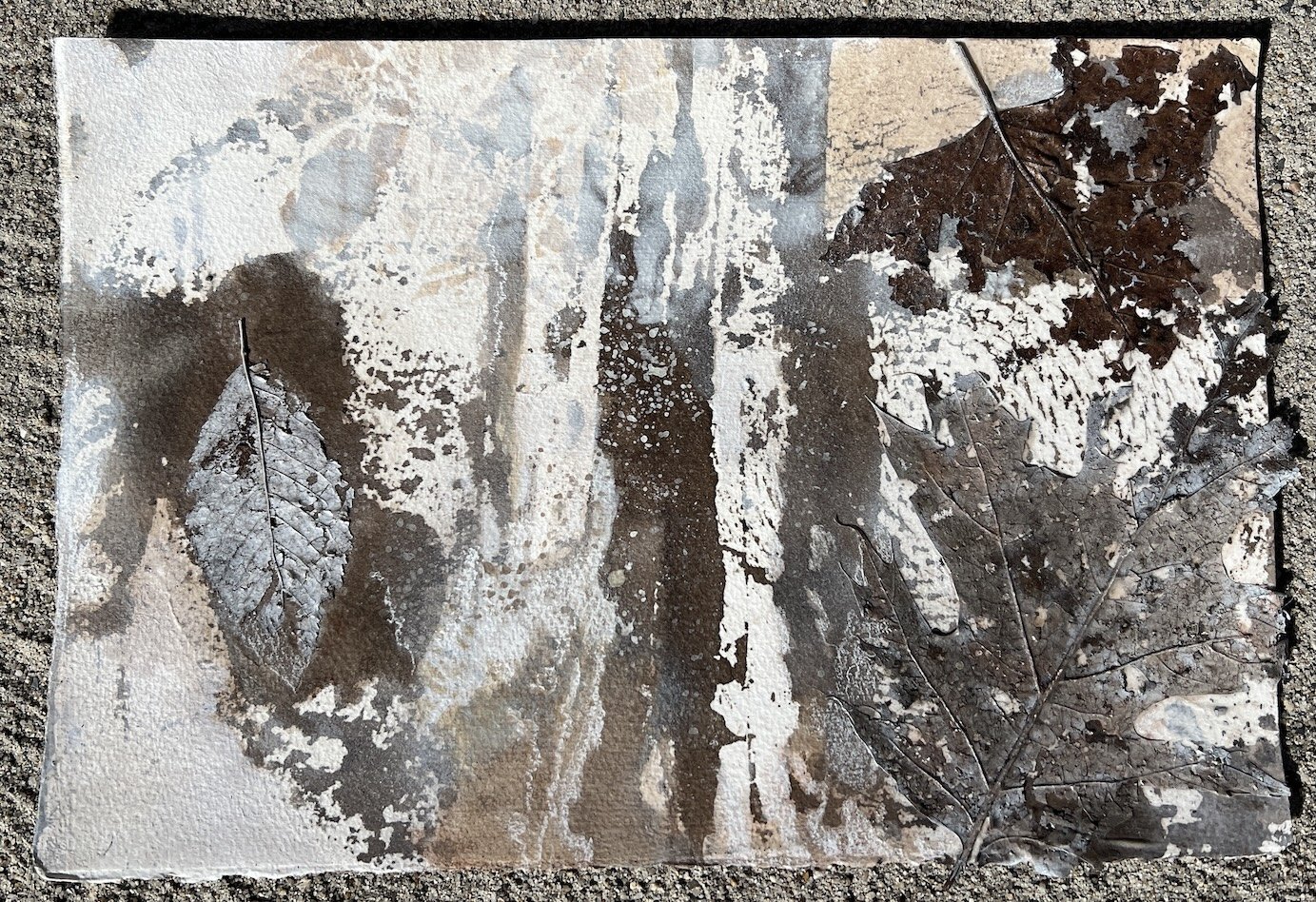 Impermanence_4__Wabi_Sabi_Leaves__7.5x11.5_IMG_8982.jpg