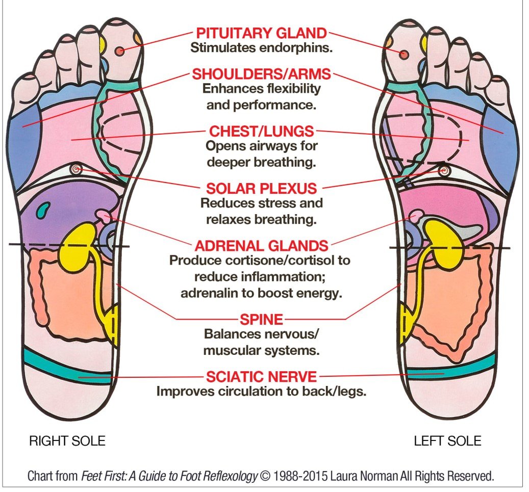31 Printable Foot Reflexology Charts & Maps ᐅ TemplateLab