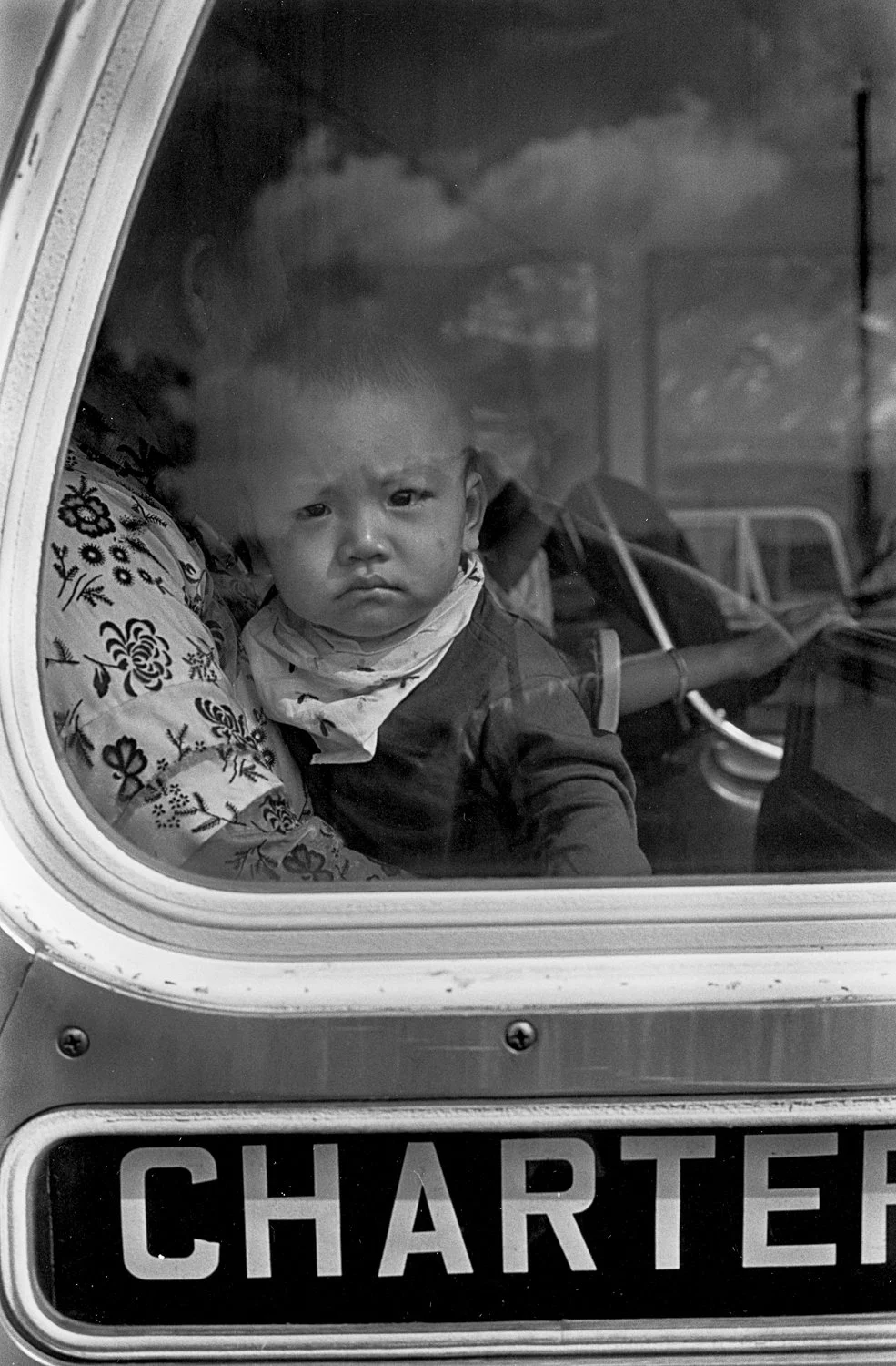 How the Great Auk Helped Me Photograph Vietnamese Refugees