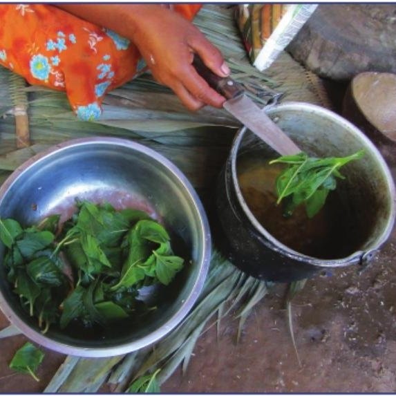 New paper published on the threats to local and Indigenous knowledges