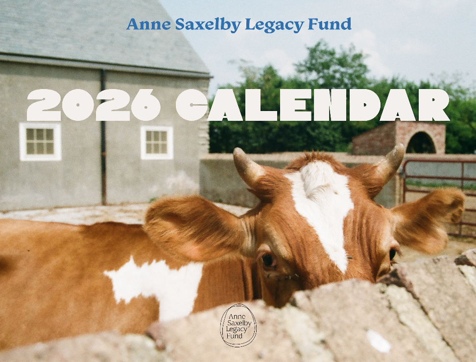 Calendar Sale! $25 until the end of the year!