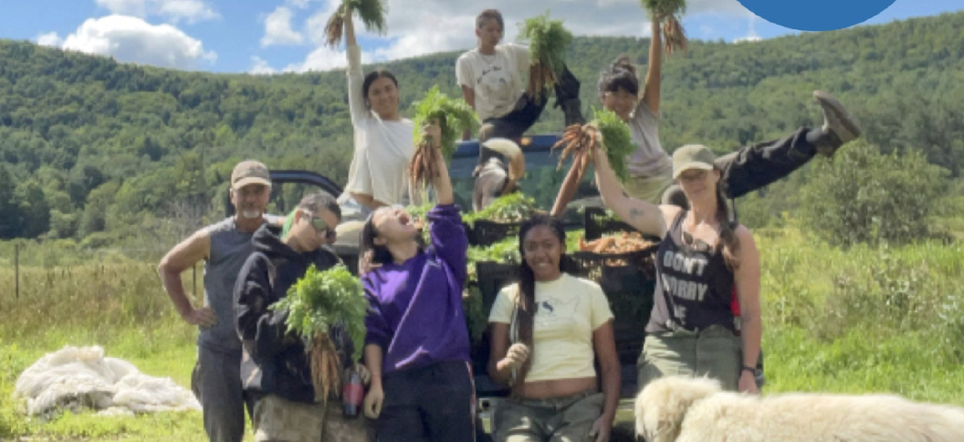 The ASLF 2026 Apprentice Application is now open!