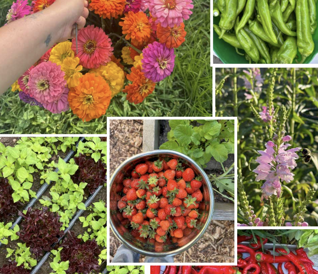 5 Weeks Left to Apply!