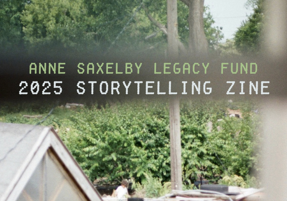 Premiering the Storytelling Zine!