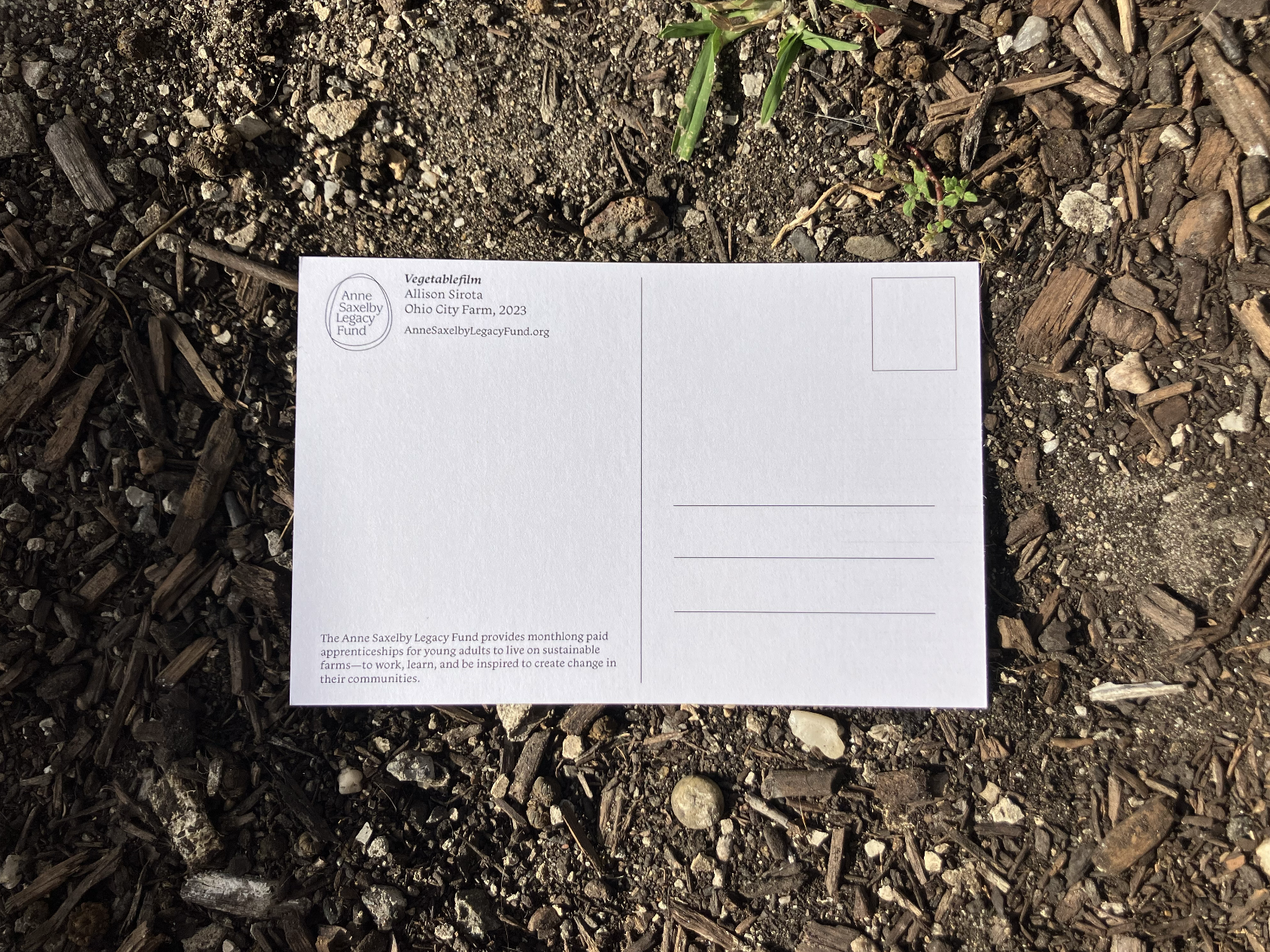 Screenshot 2025-11-07 at 3.21.54 PM.png