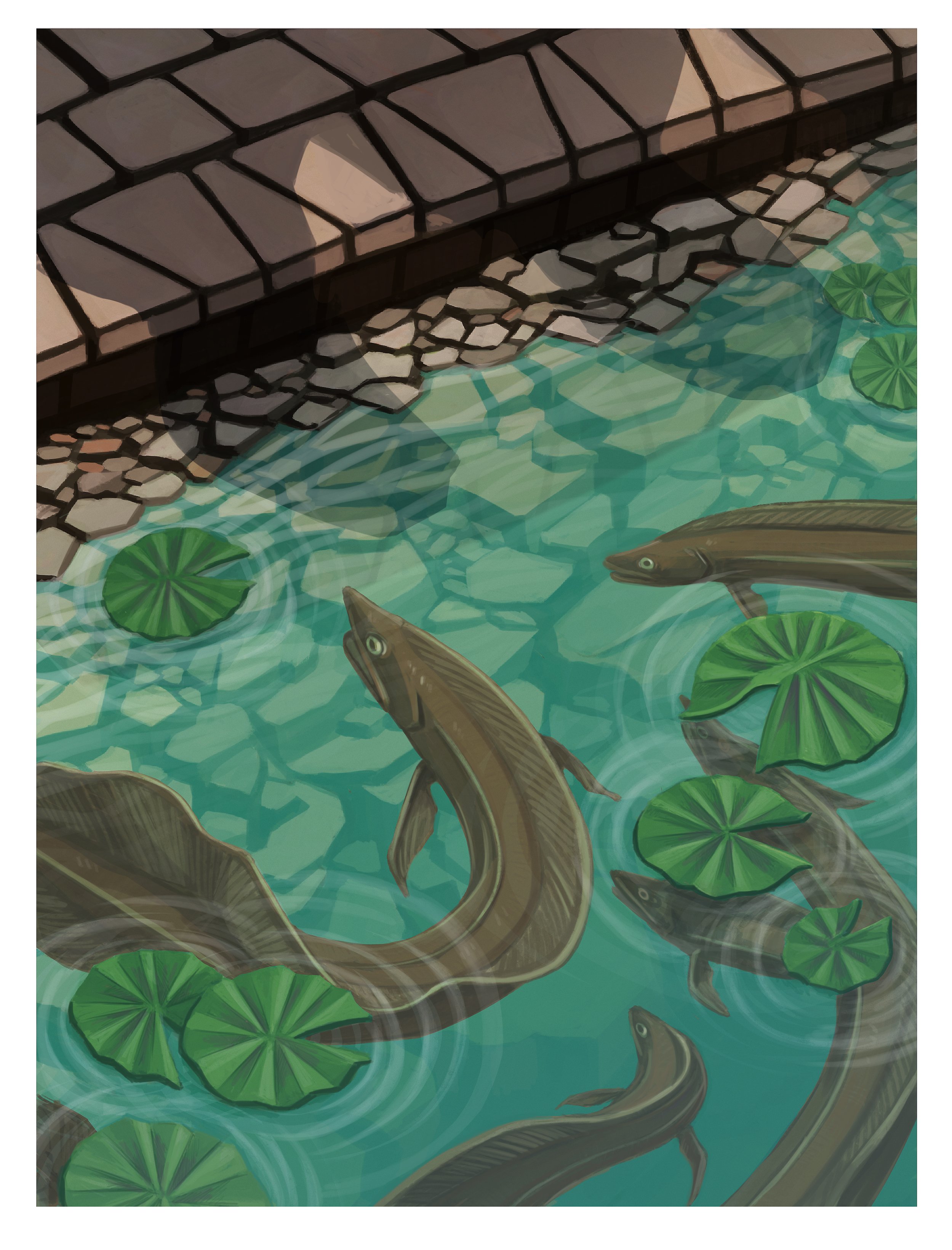Eel Pond, 2021, digital, 9”x12”