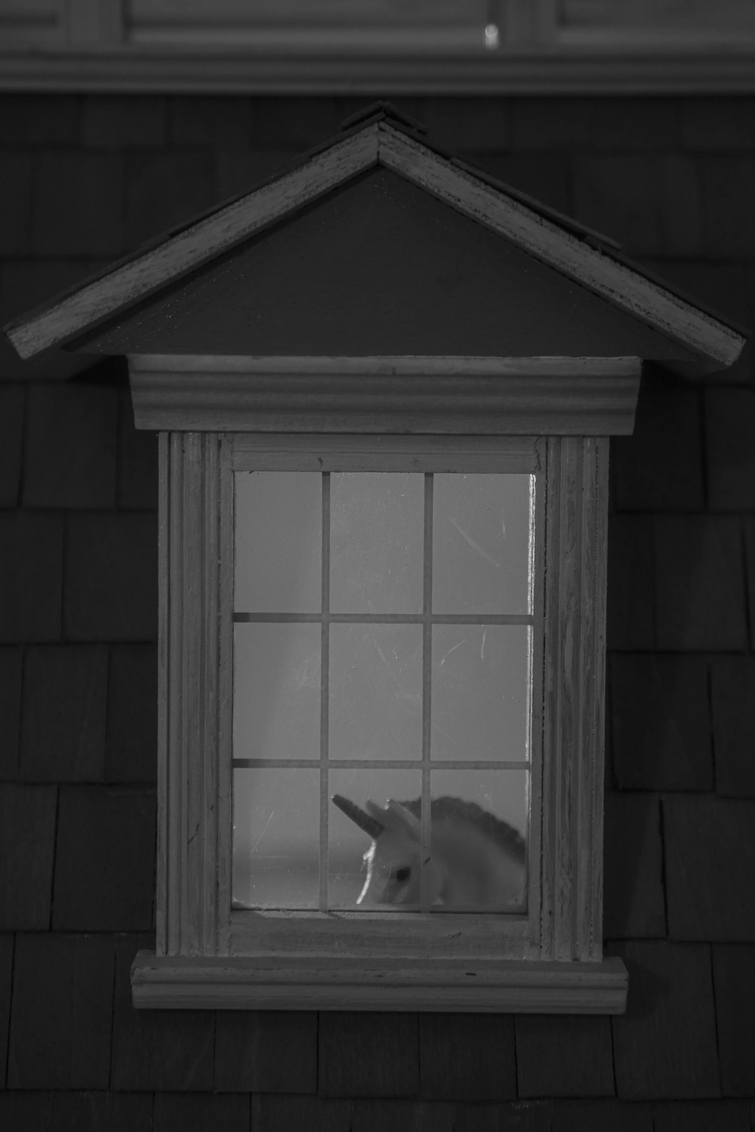 Instincts, January 2024. 16 in x 10 in