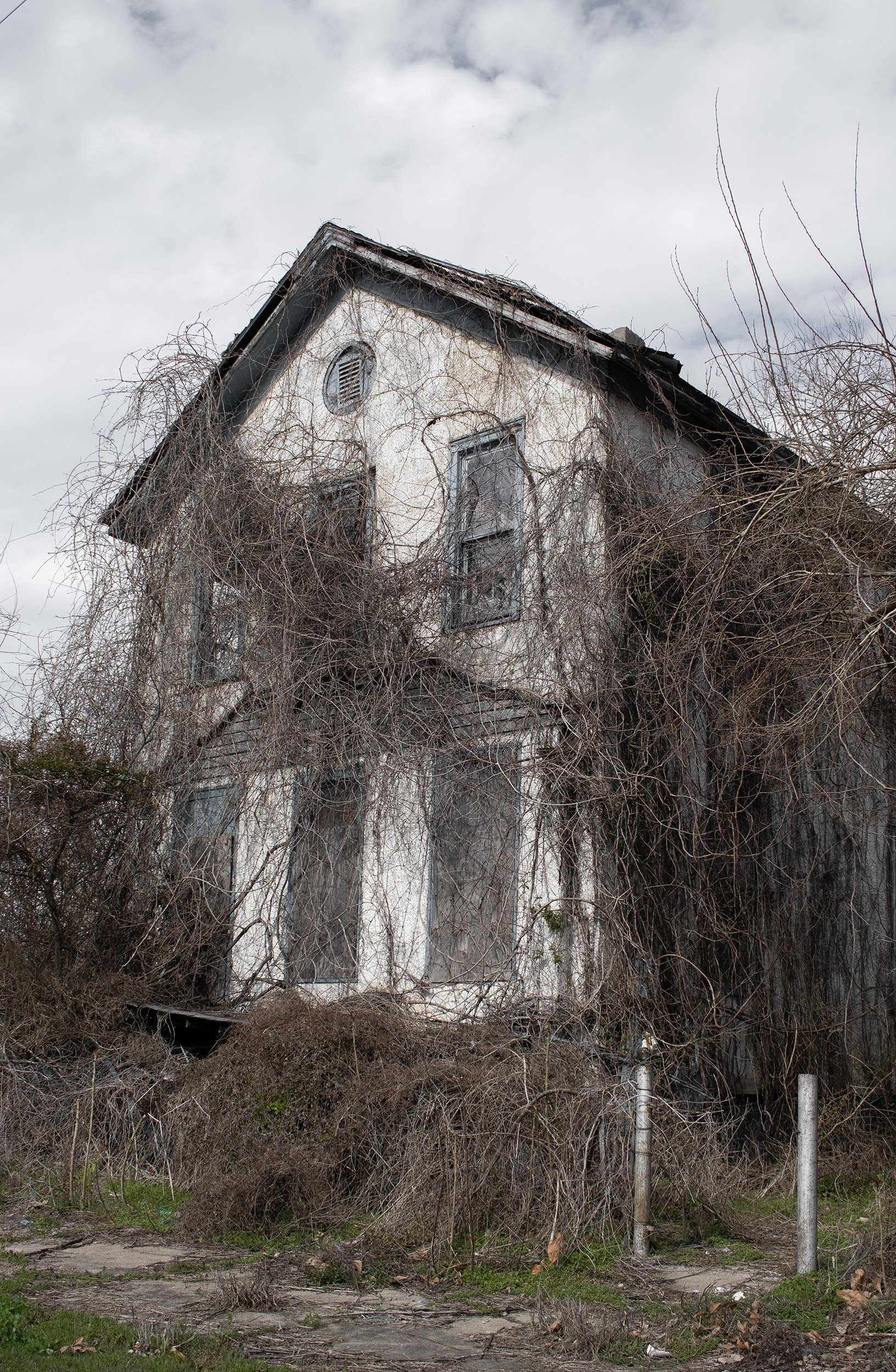 Nature's Hostage, 2023, archival inkjet print, 24x16 inches