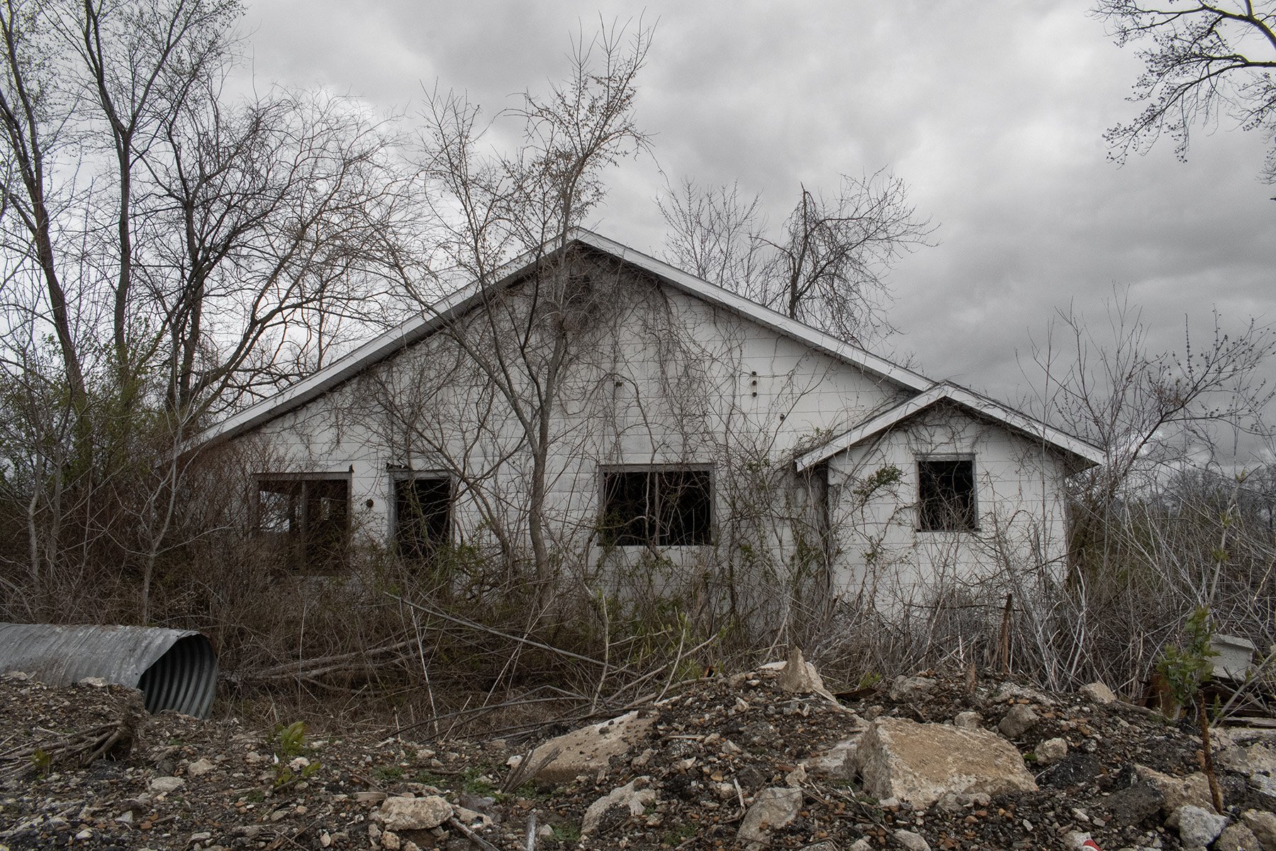 Untitled, 2023, archival inkjet print, 6x4 inches