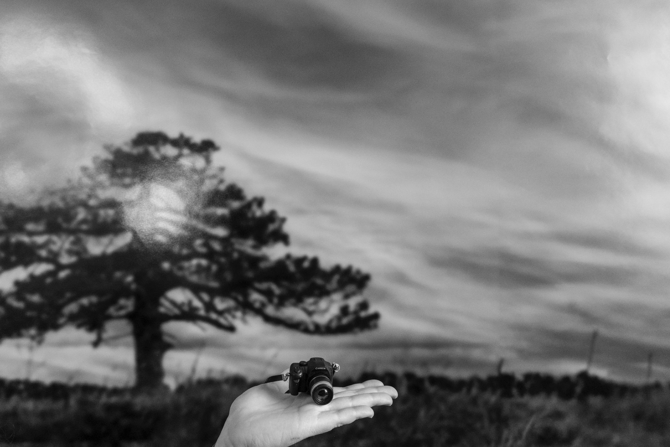 Stop at the Fairy Tree, March 2024. 40 in x 60 in