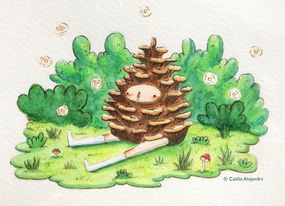 "Rowan the Pinecone". Watercolor. 2022. 5" x 7".