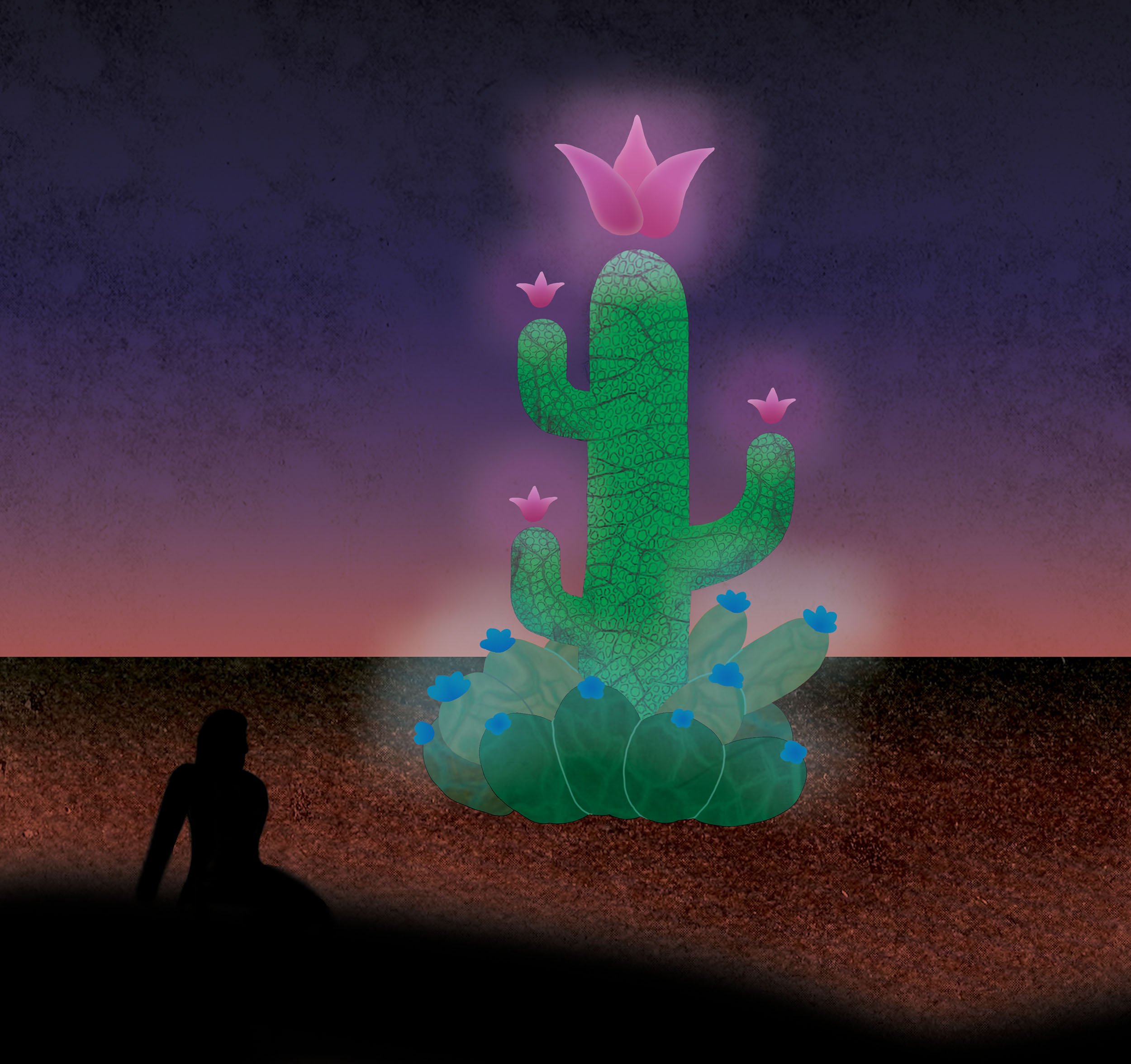 The Cactus Blooms, 2021, Digital, 11.5 x 11