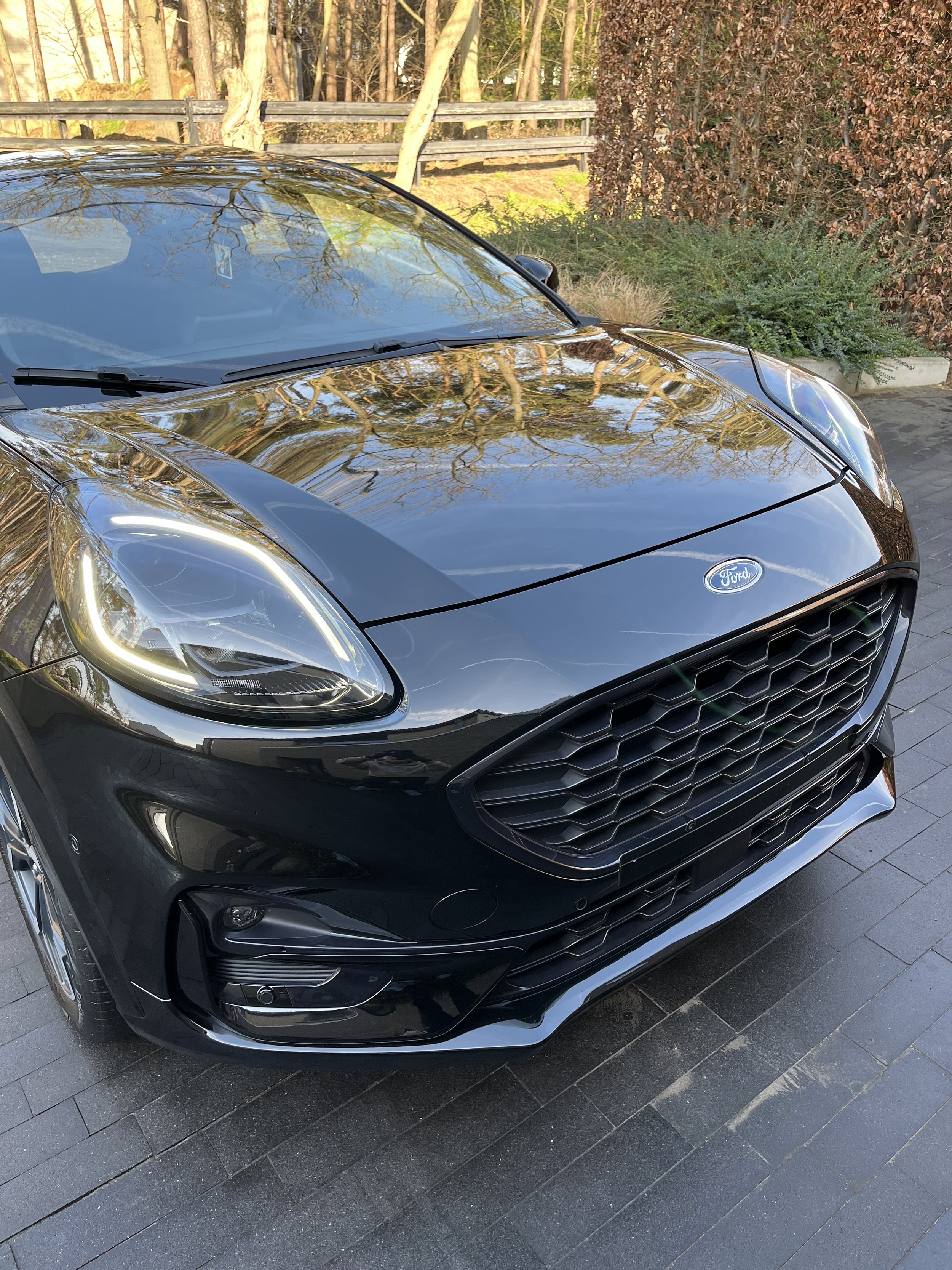 Close_up_front.jpg