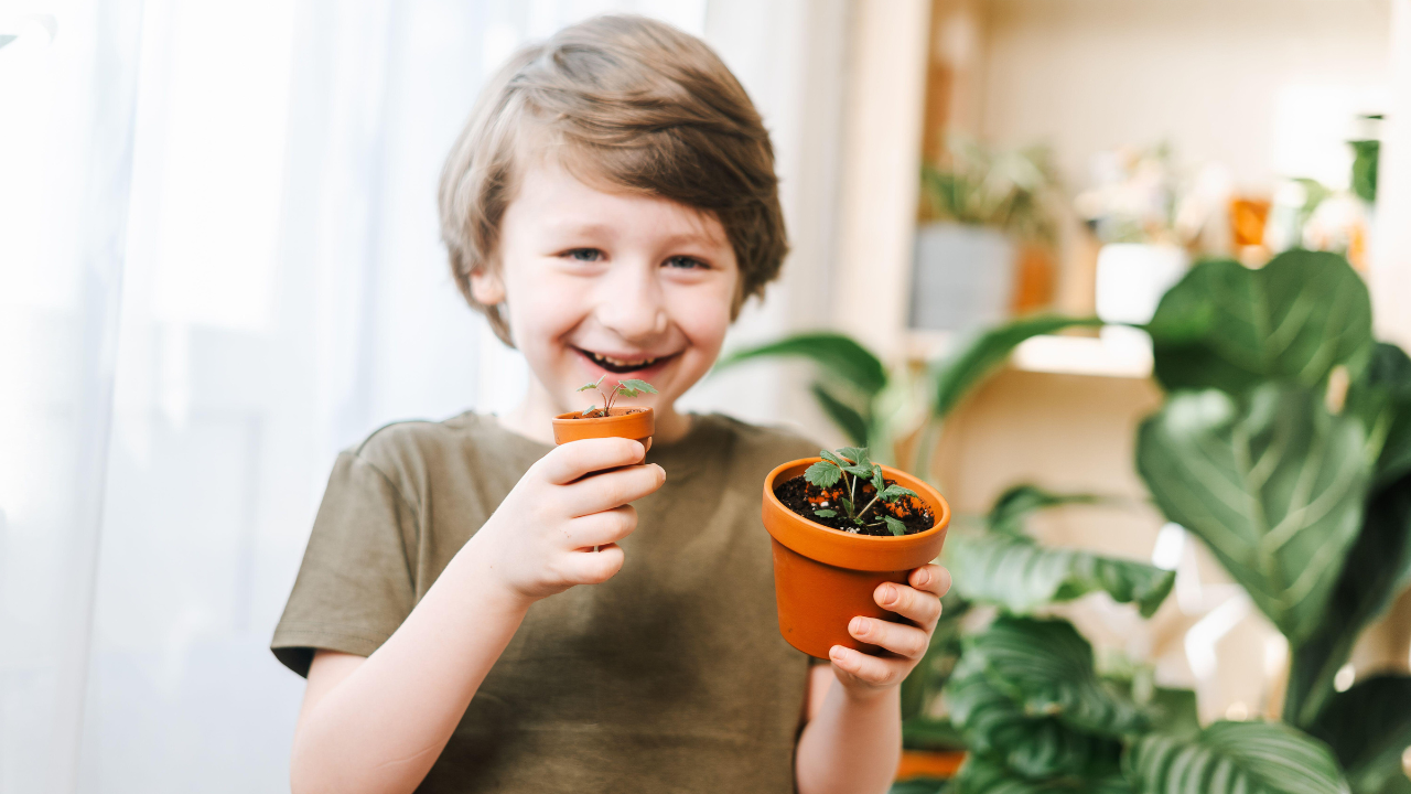Elizabeth Fraley Kinder Ready Launches Life Cycle Learning Initiative to Spark Early Science Understanding Through Plant Growth.