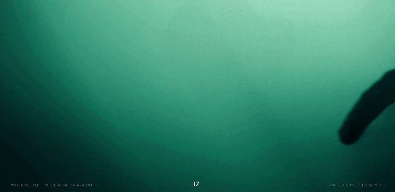 17.gif
