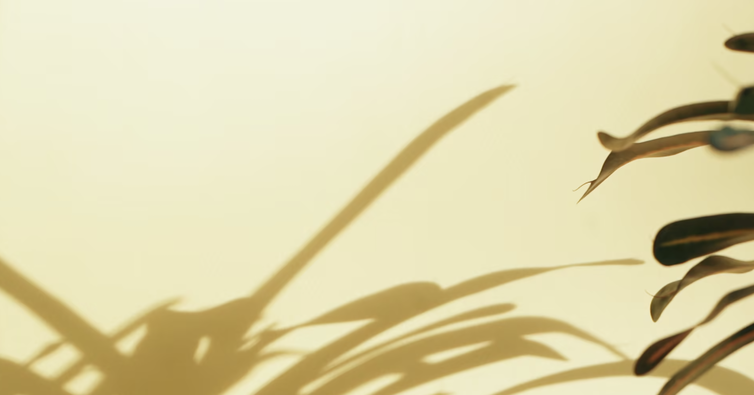 Screenshot 2021-11-12 at 6.07.43 pm.png