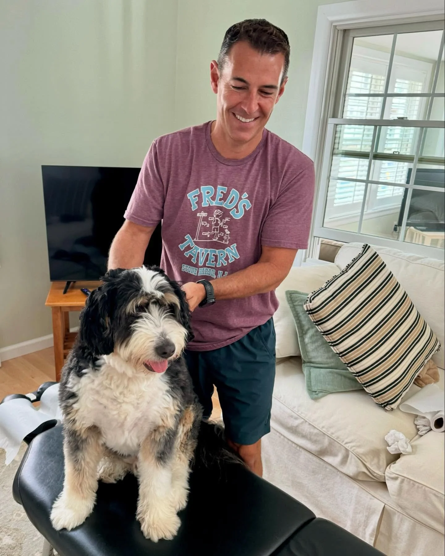 🐶 Those Dog Days of Summer are still barkin for the @stoneharborchiro 🙌🏻🐾! Text 💬 or call 📞 609-365-0102 for this weekend&rsquo;s appointment. #welladjusted #beachchiro #baychiro #chiropracticcare #healthylifestyle #alignment #balancedbody #wee