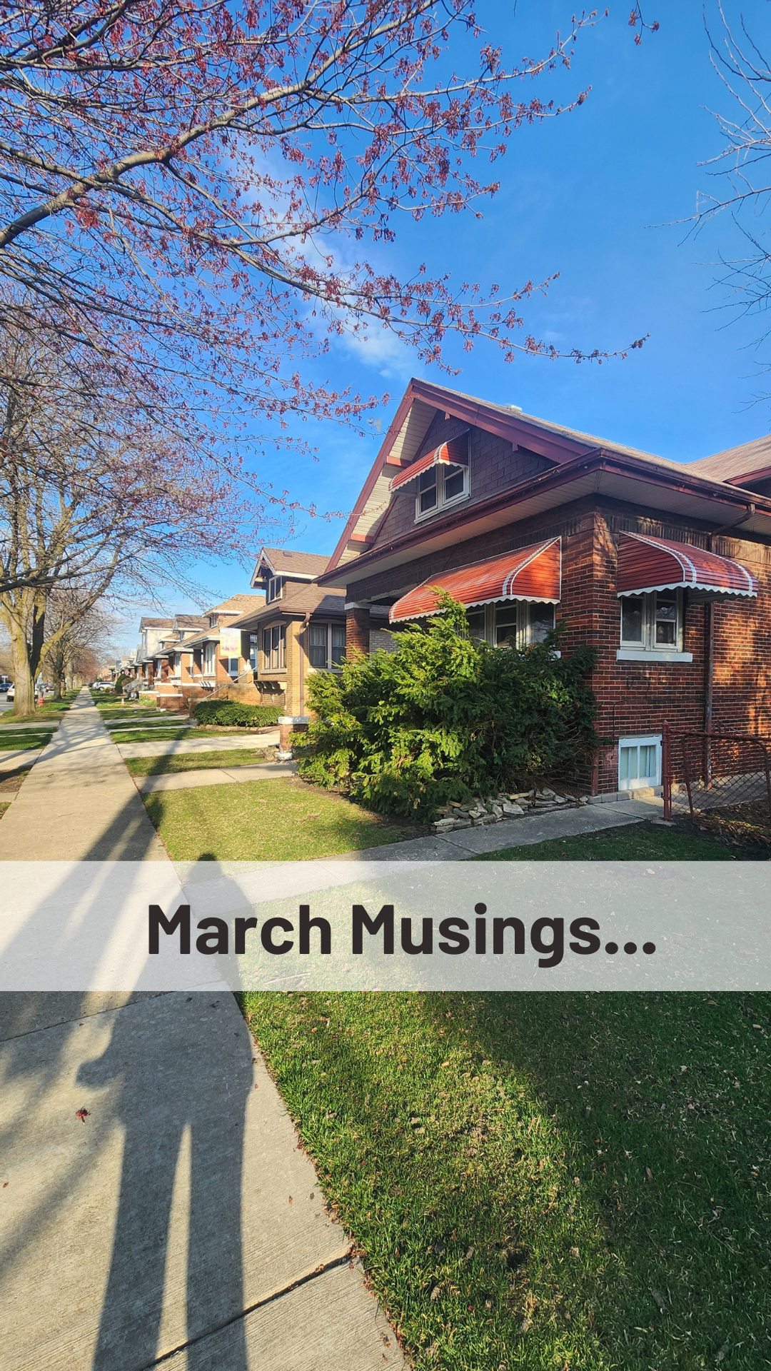 March Musings
