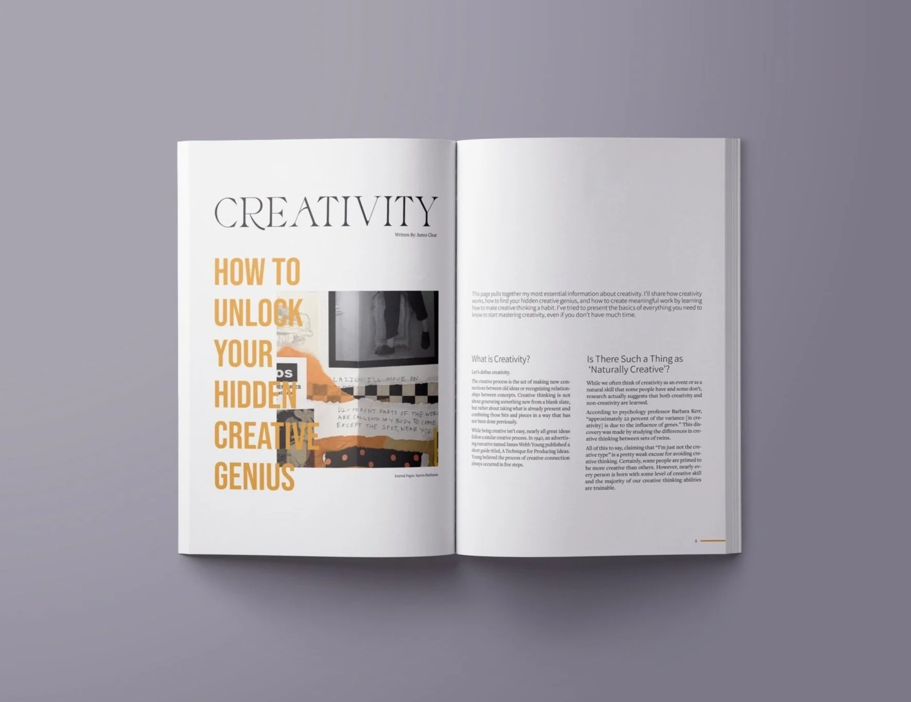 spread 2 pgs 1-2.jpg