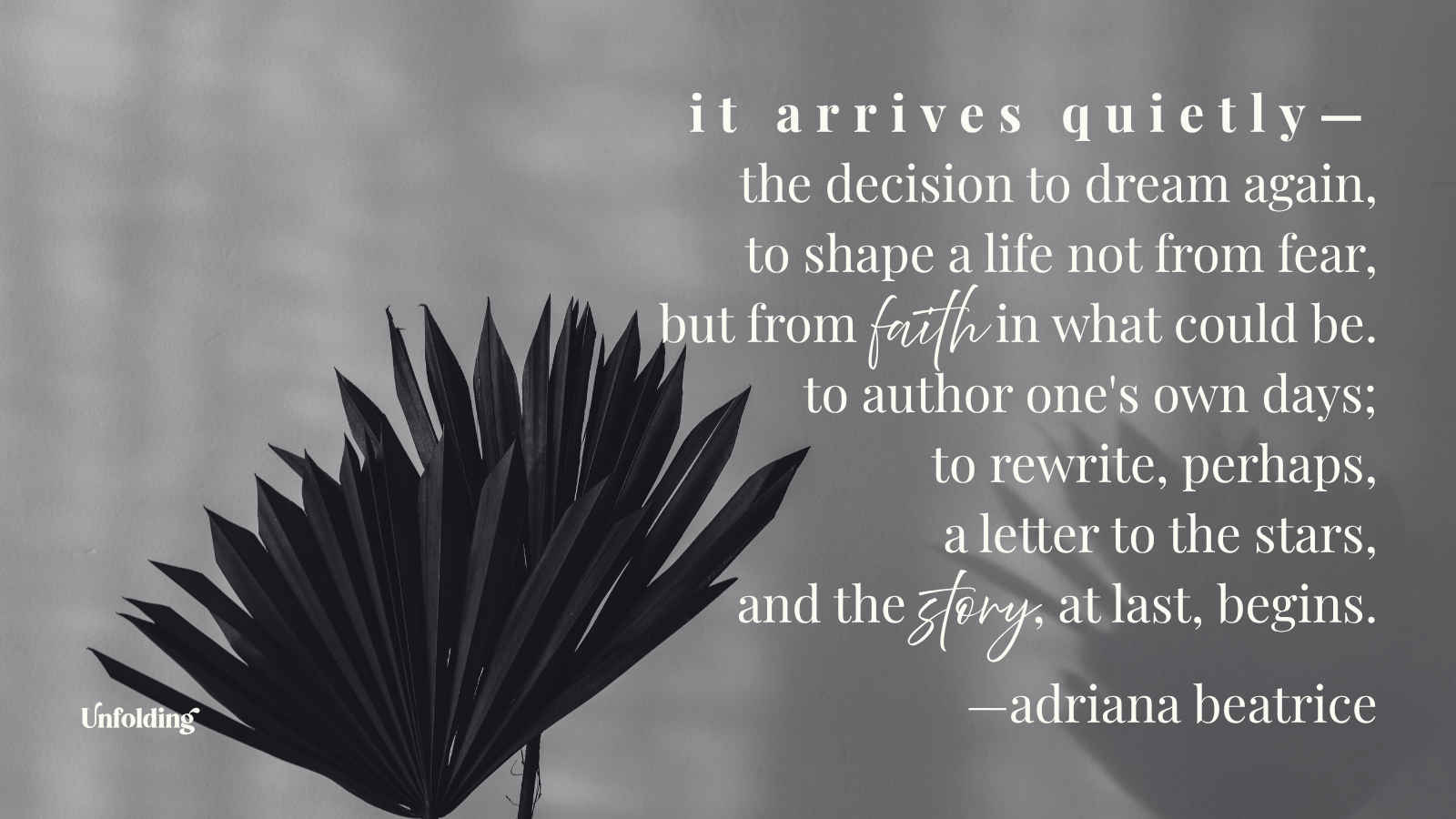 it arrives quietly - the decision to dream again, to shape a life not from fear, but from fauth in what could be. to author one's own days; to rewrite, perhaps, a letter to the stars, and the zany, at last, begins. —adriana beatrice