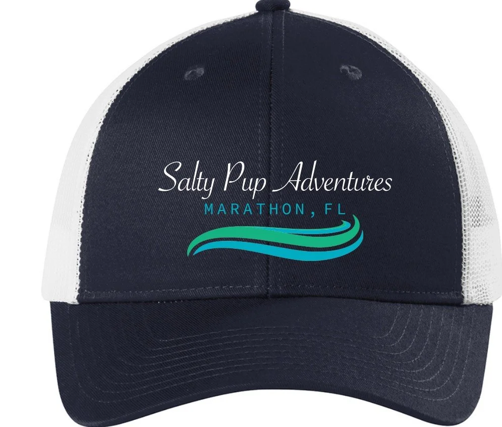 blue trucker hat.jpg