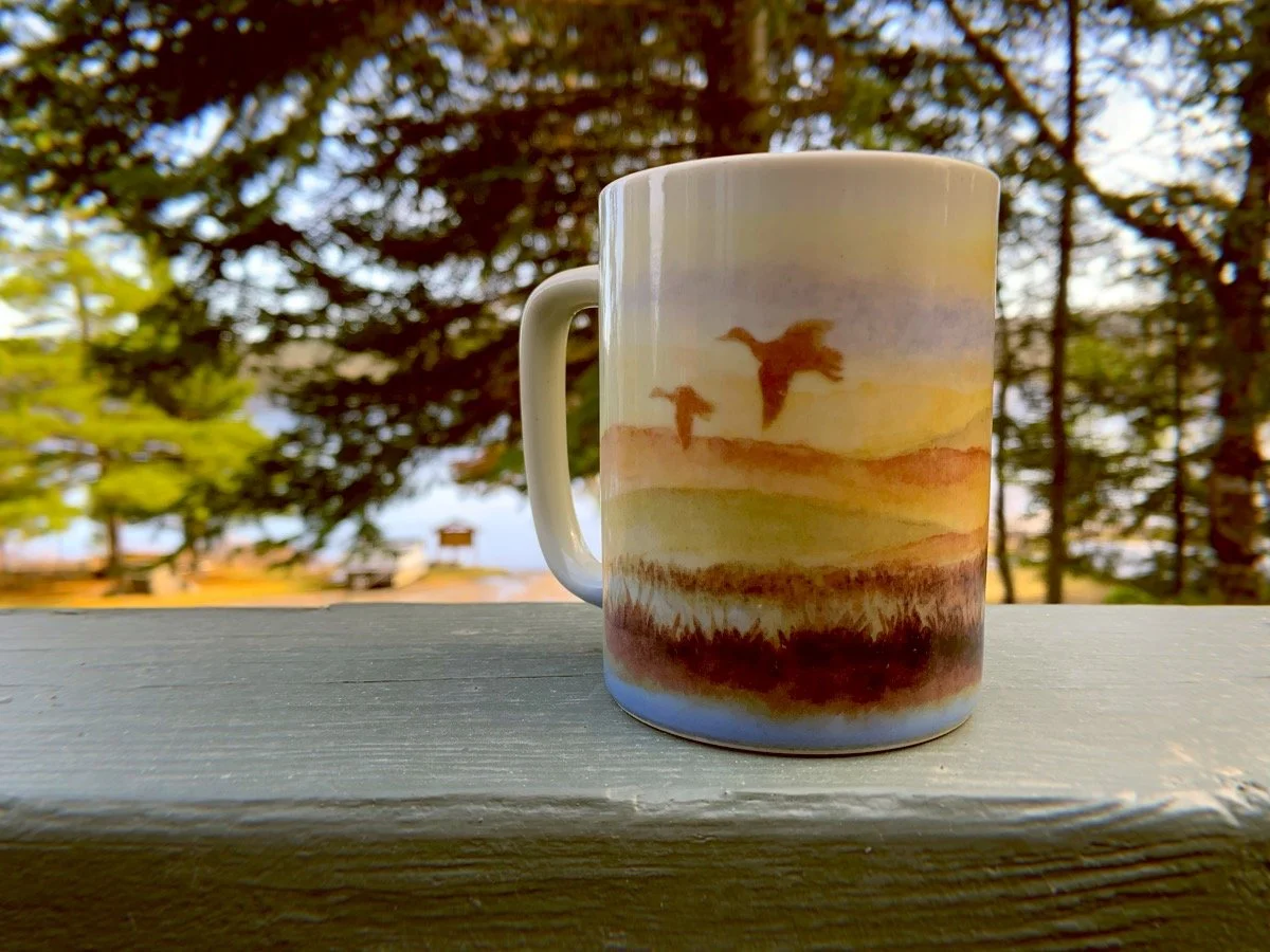 Gunflint Trail pet friendly cabin