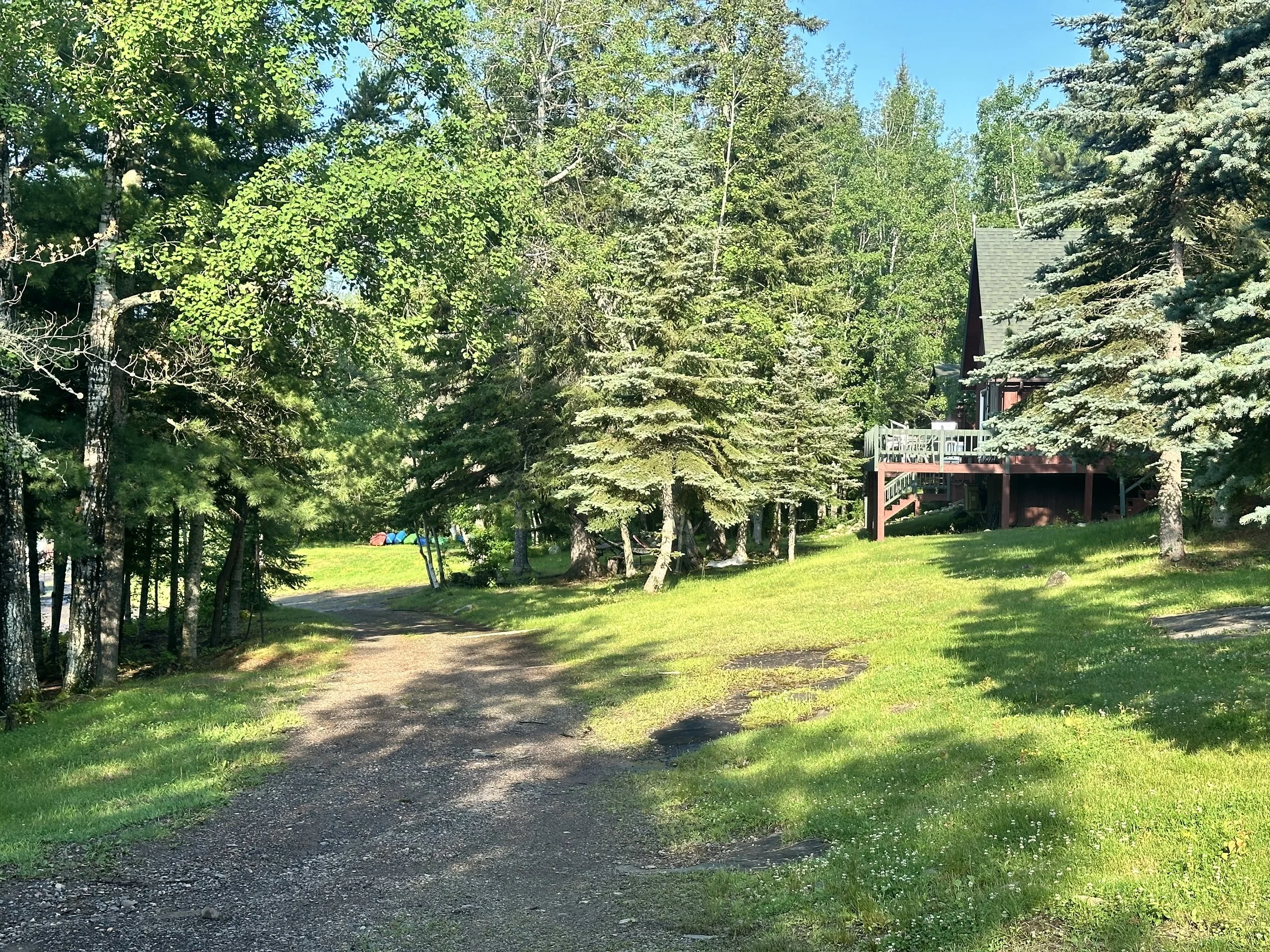 Jack Pine_Gunflint Trail Cabin