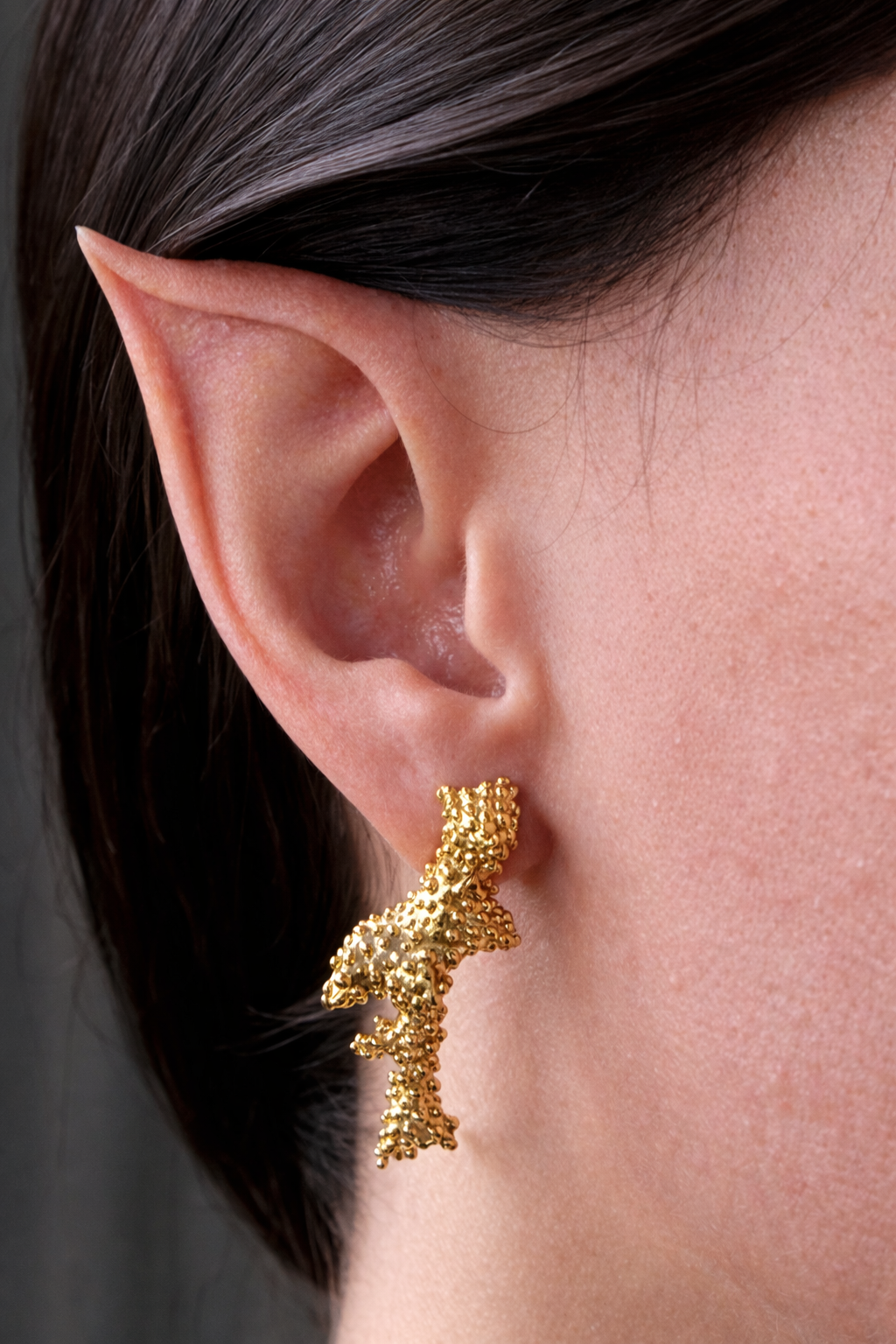 ChatGPT Image 22_12_2025, 17_27_02.png