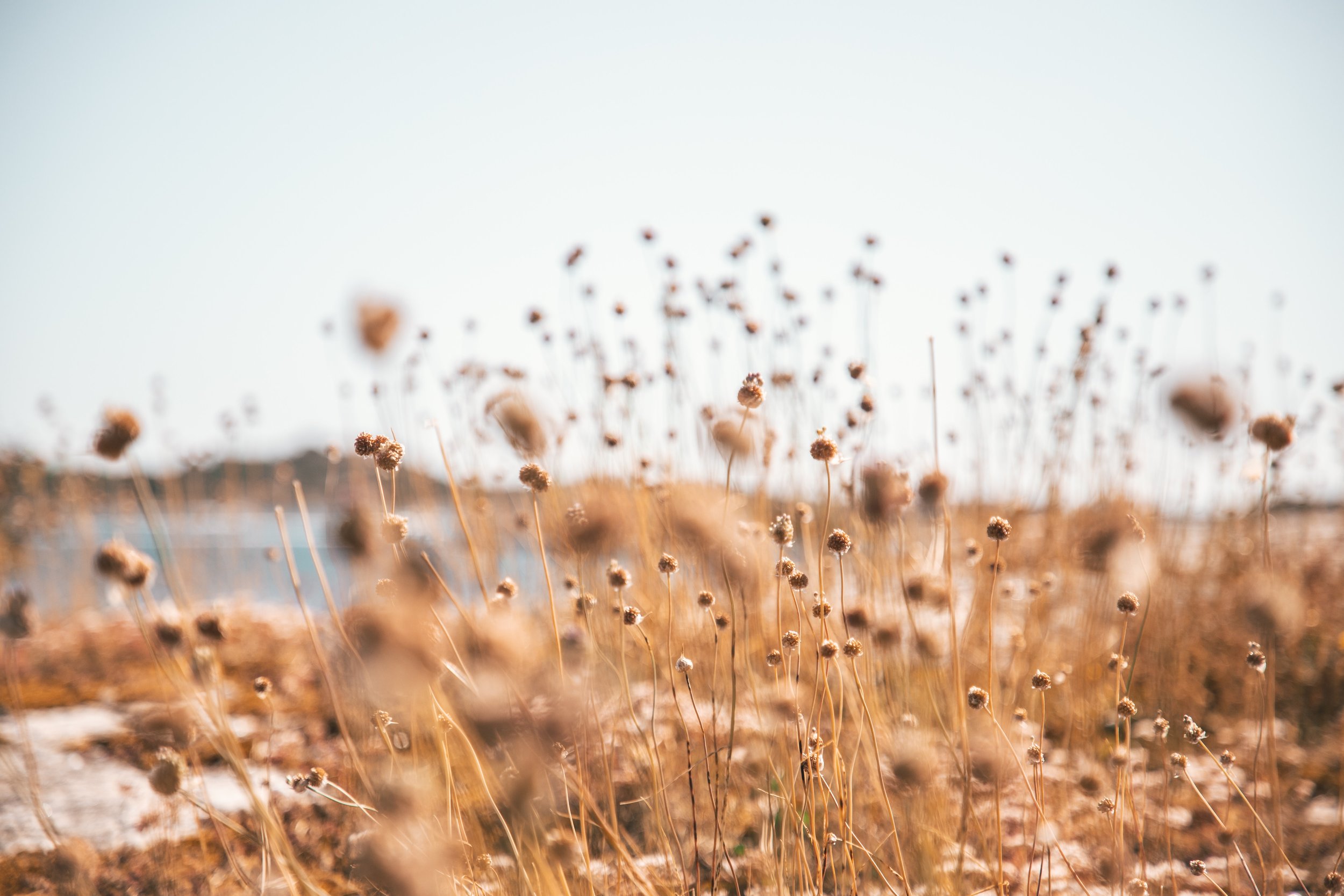 ACTS:in Janne Seppälä mukana Rakentamislaki – uudet säädökset ja EPBD:n vaikutukset koulutuksessa 27.1.2026