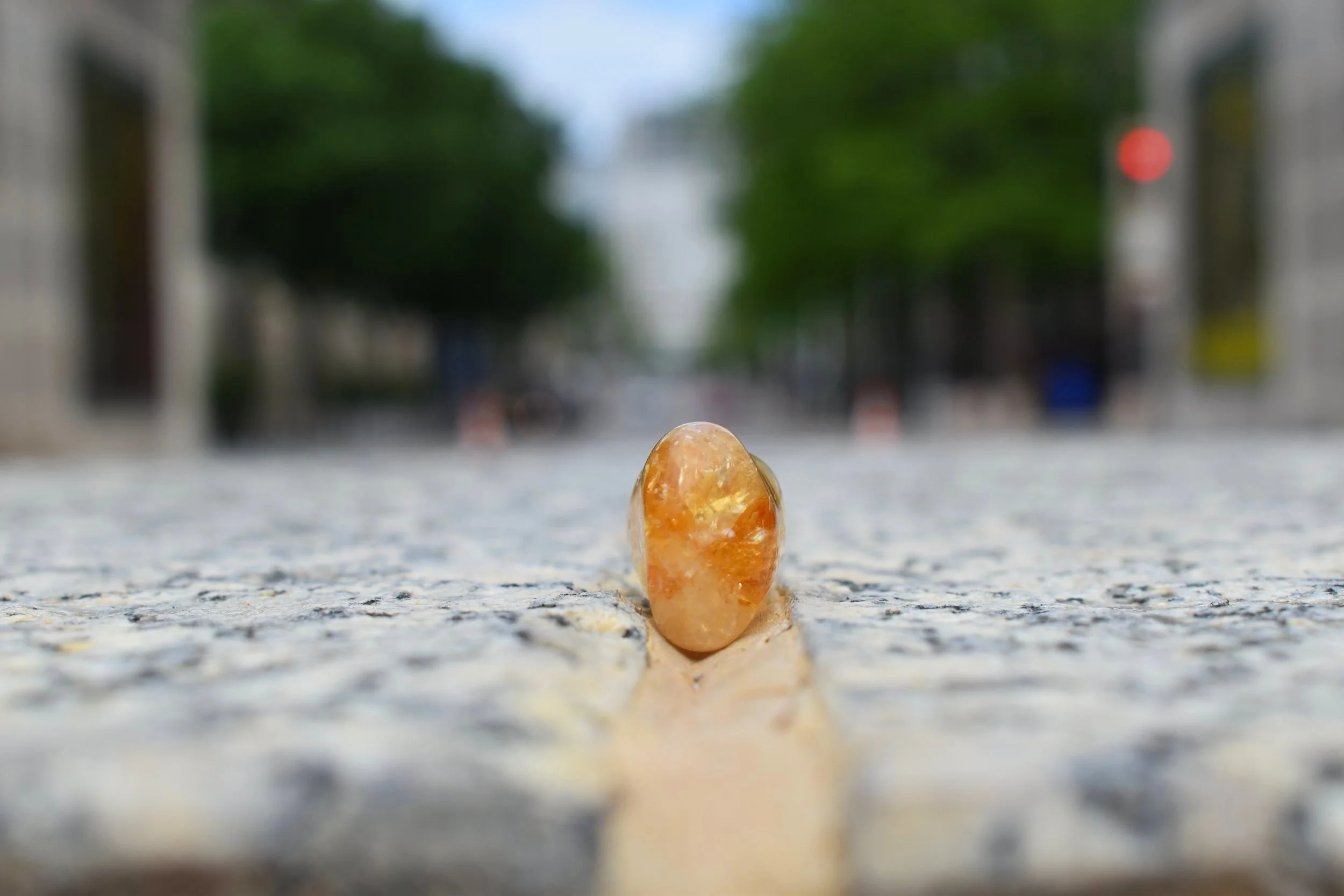 DSC_0647.jpg