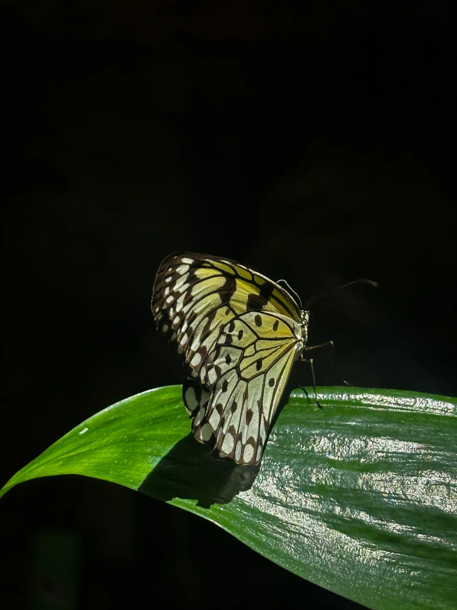 IMG_0322 2.jpg