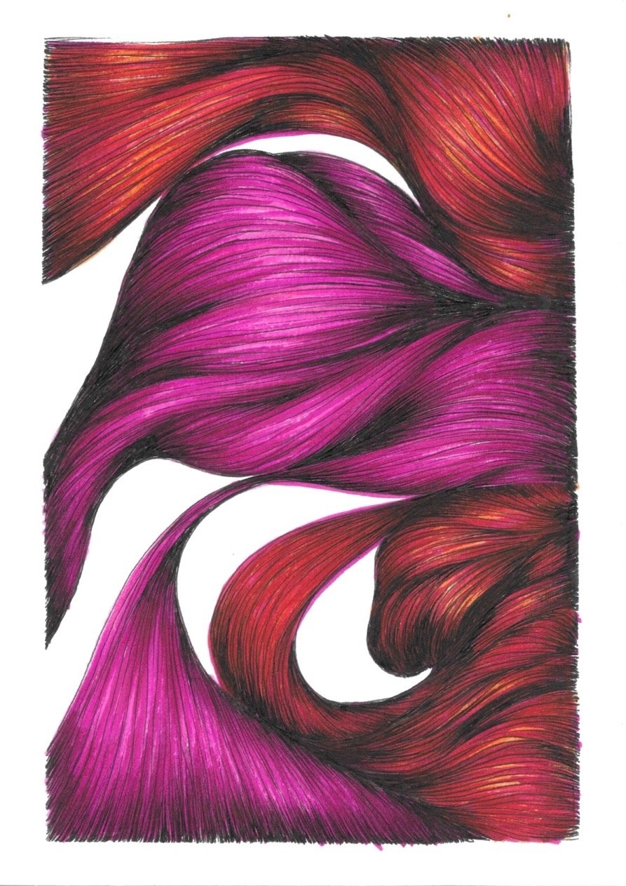 Fuchsia drift