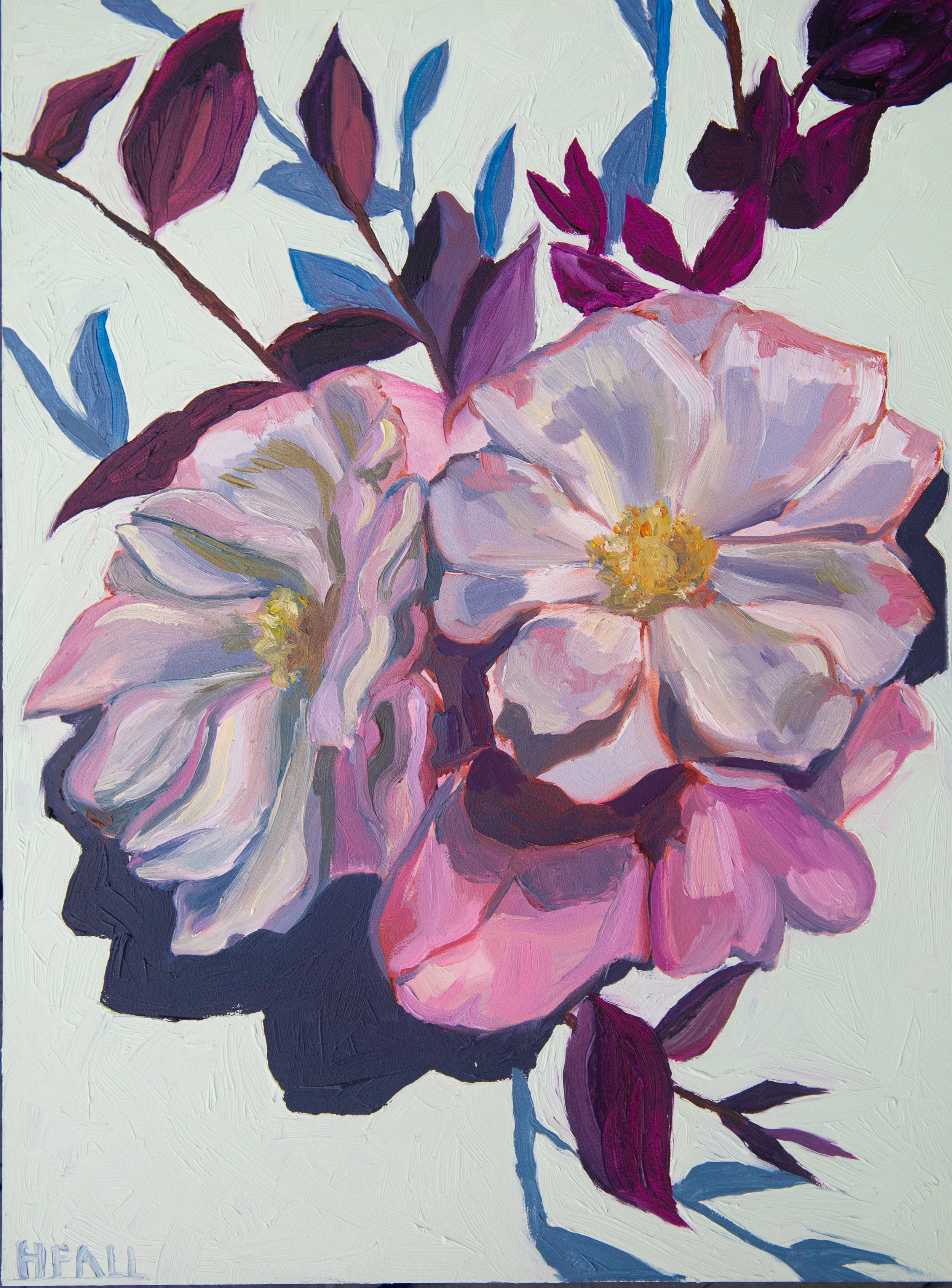 SOLD Crawford Camelias 