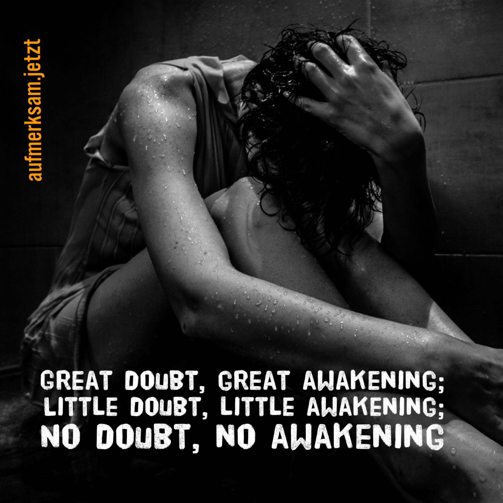 nodoubt-noawakening-aufmerksam-jetzt.png