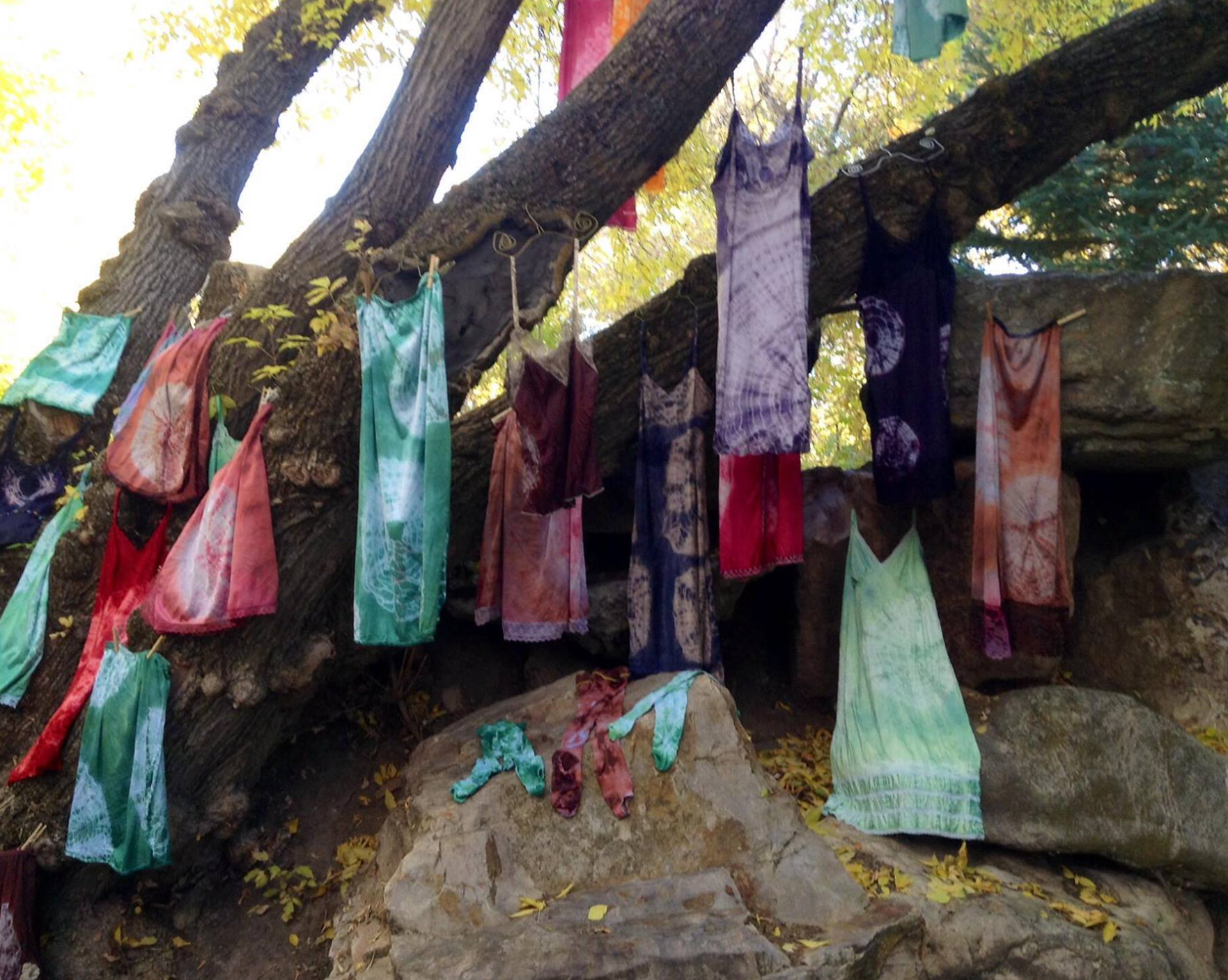 Screenshot (497).png