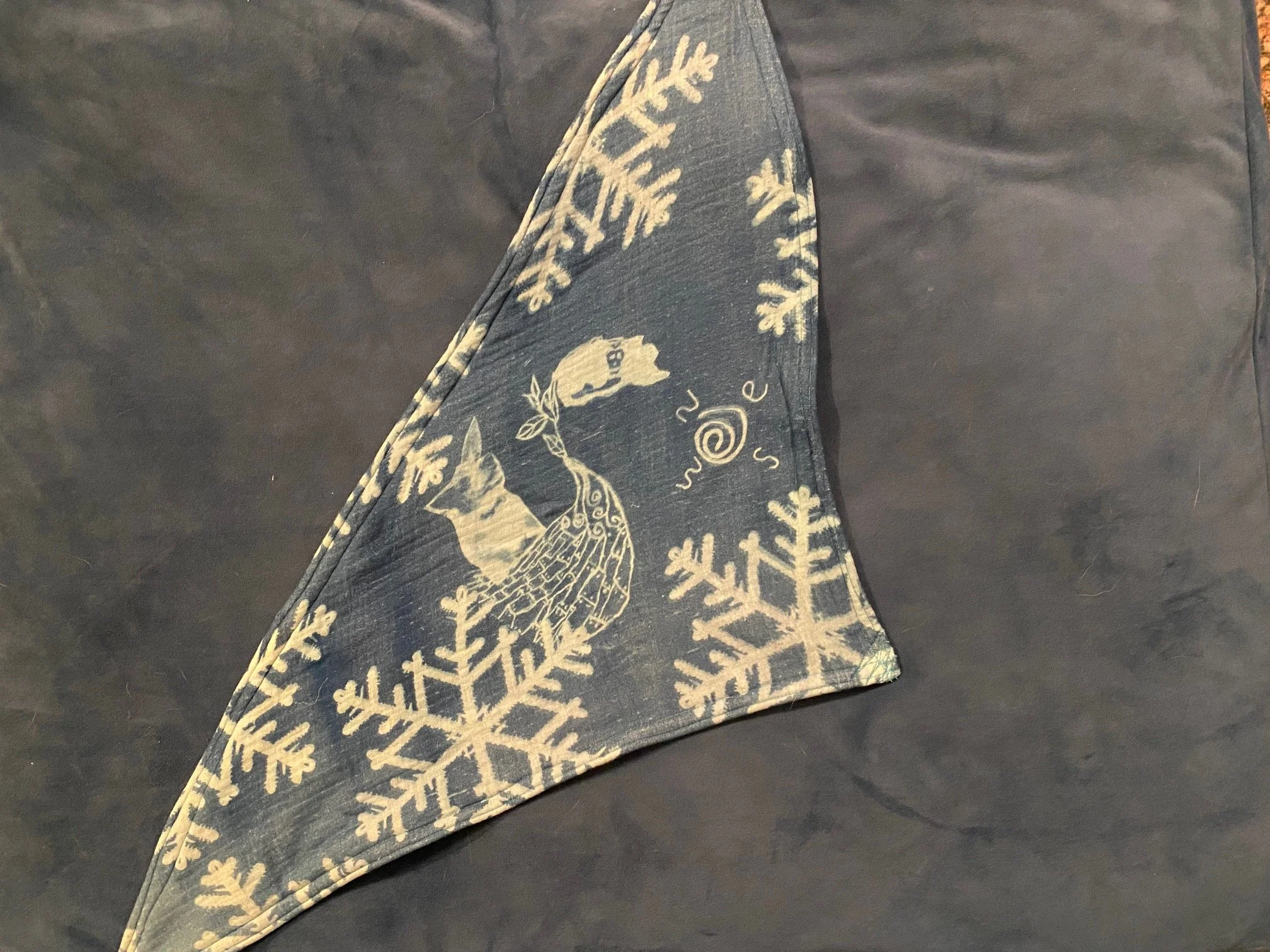 IMG_8211.jpg (Copy) (Copy) (Copy)