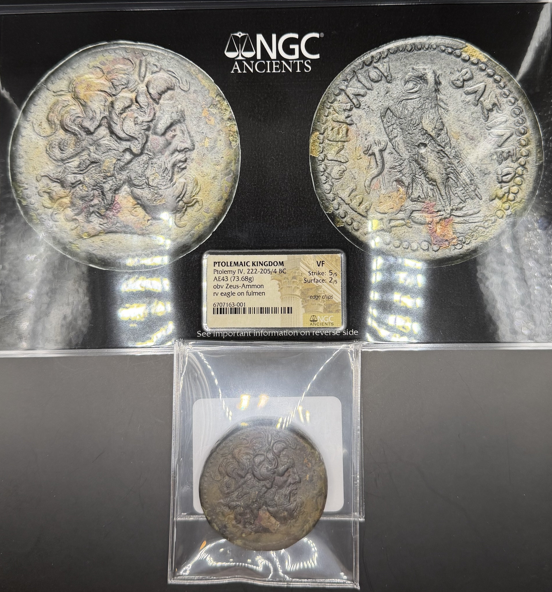 Screen Shot 2026-02-24 at 7.29.24 PM.png