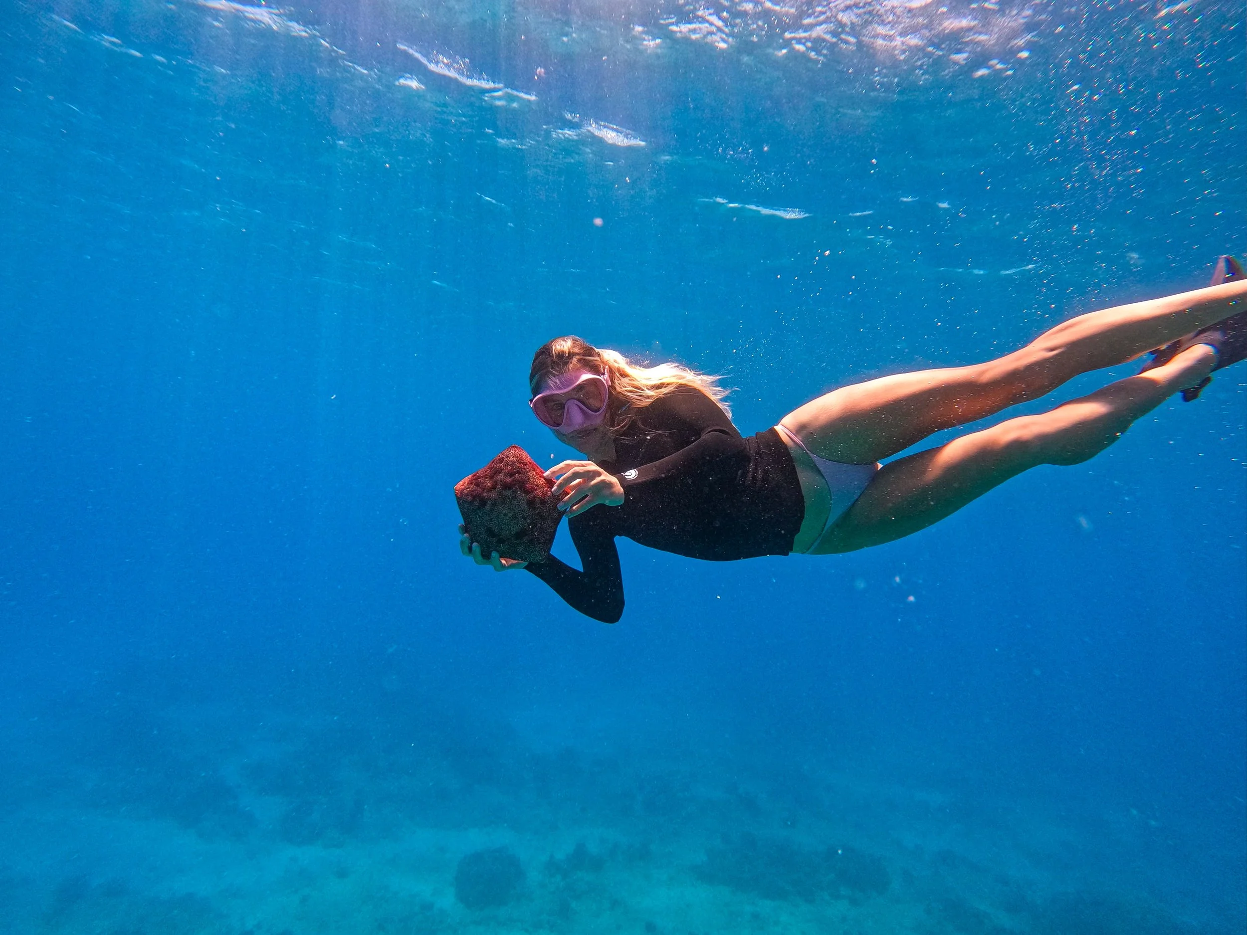 GPTempDownload 2.JPG