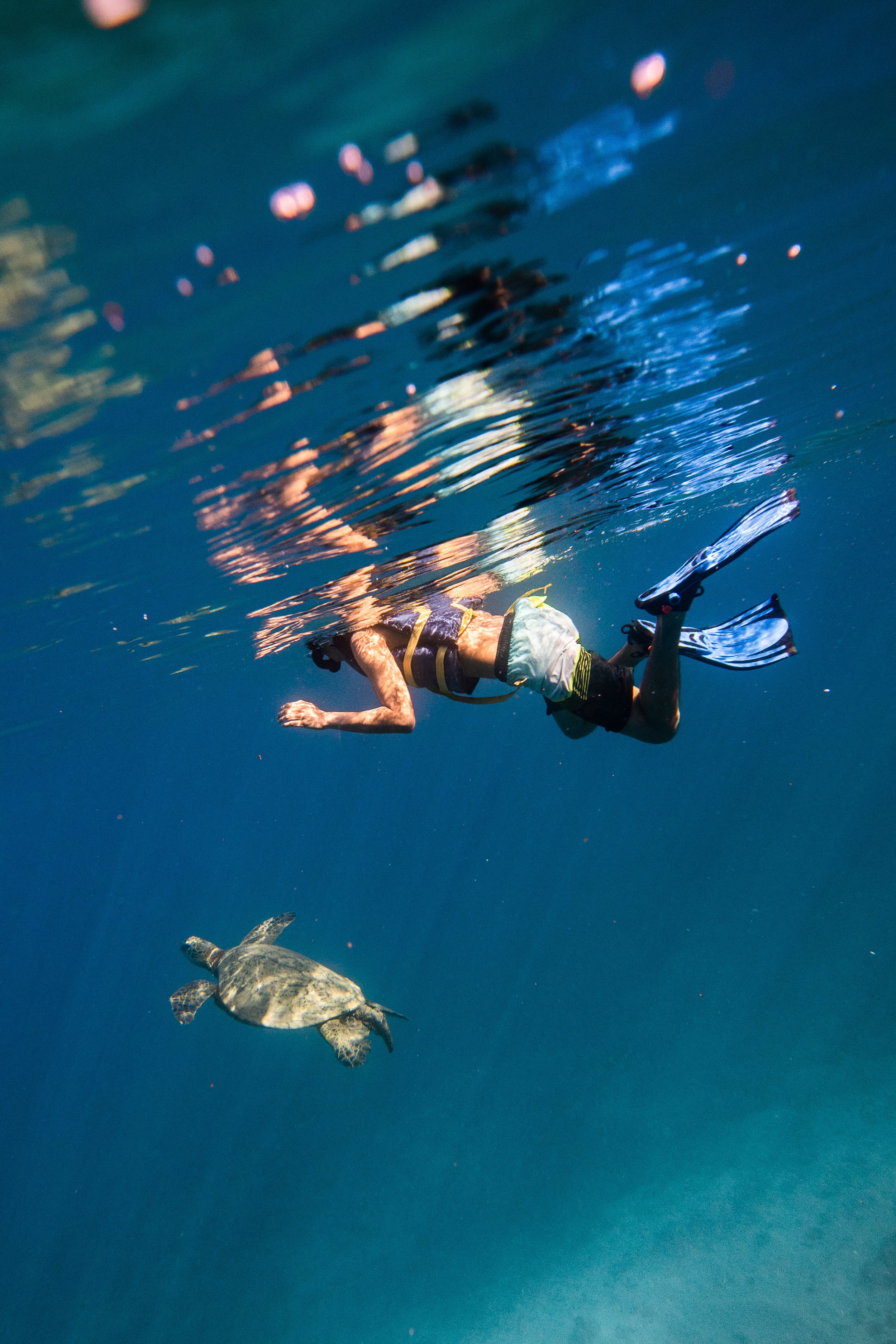 Honolulu Tours