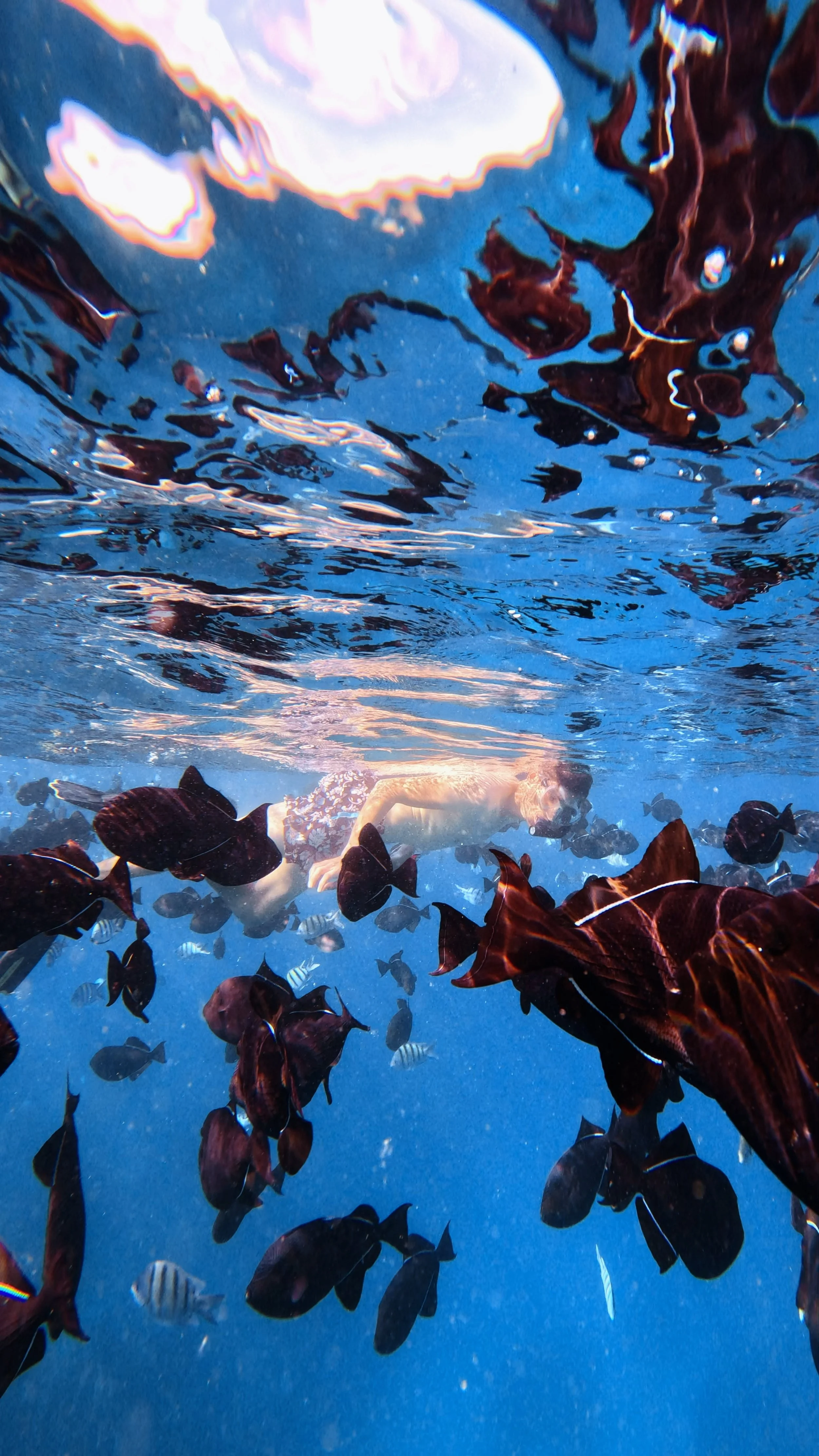 GPTempDownload (57).JPG